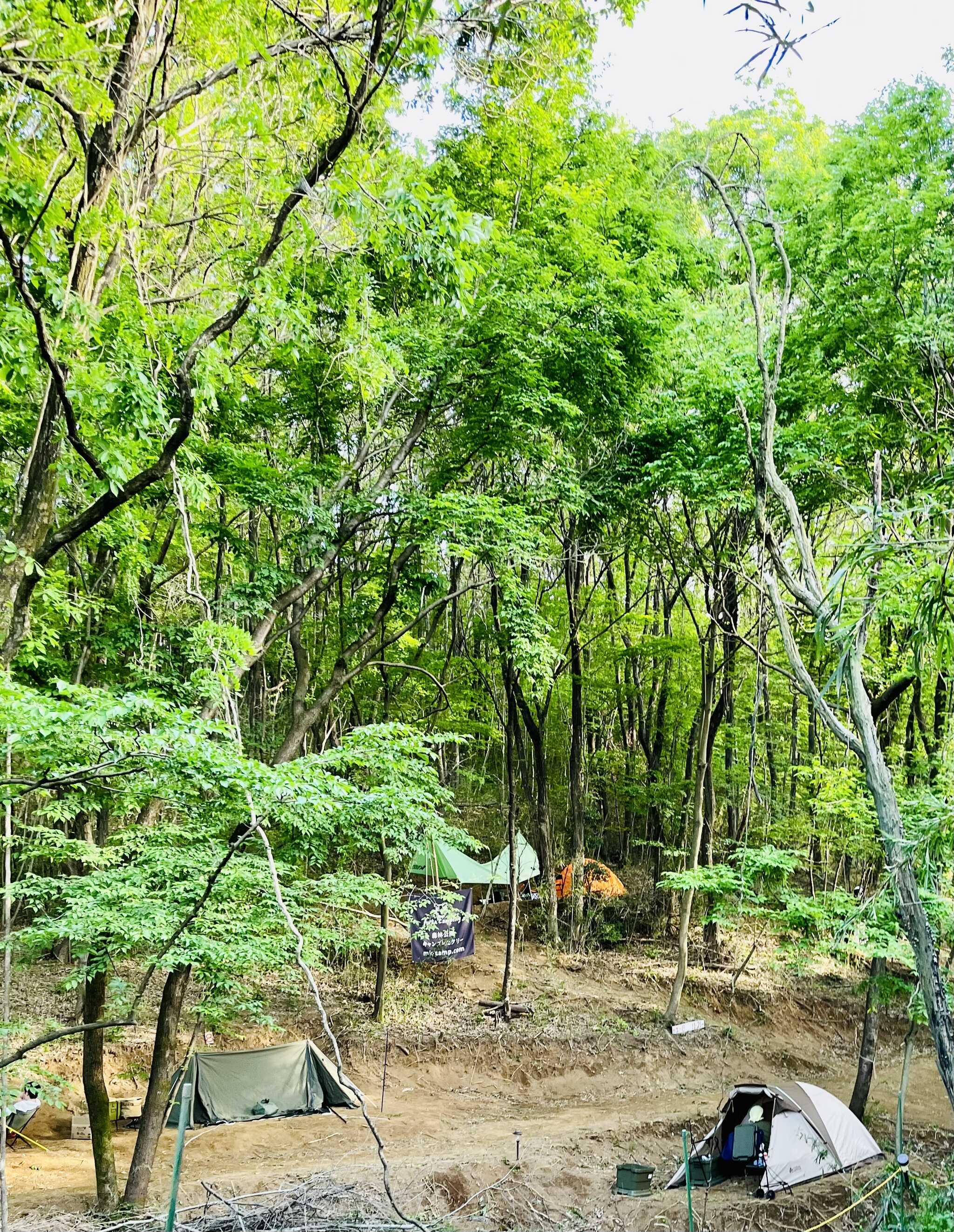 森林公園オートキャンプ場1ワン