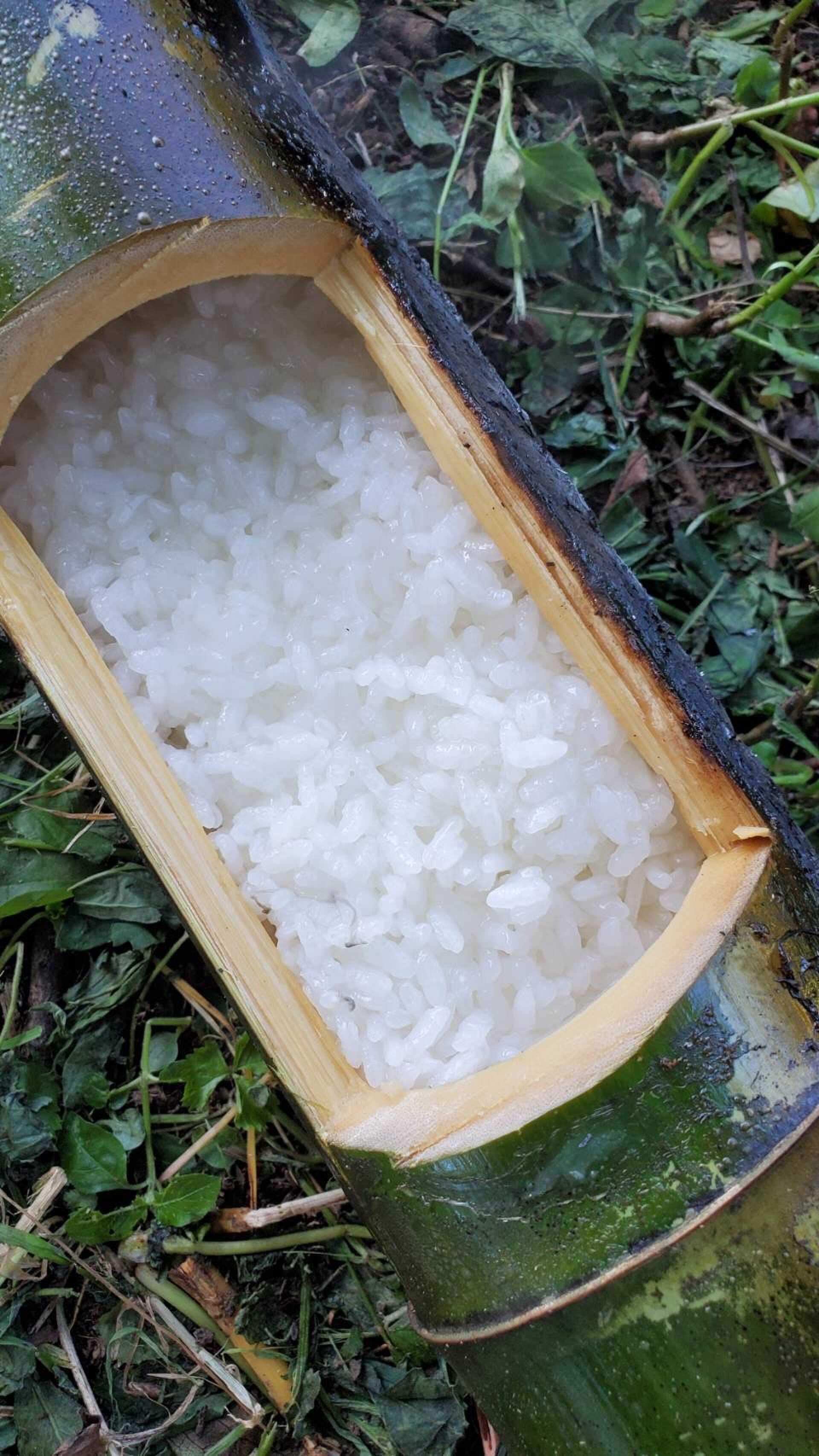 MA SAISON (マセゾン)キャンプ場 in 千葉大多喜