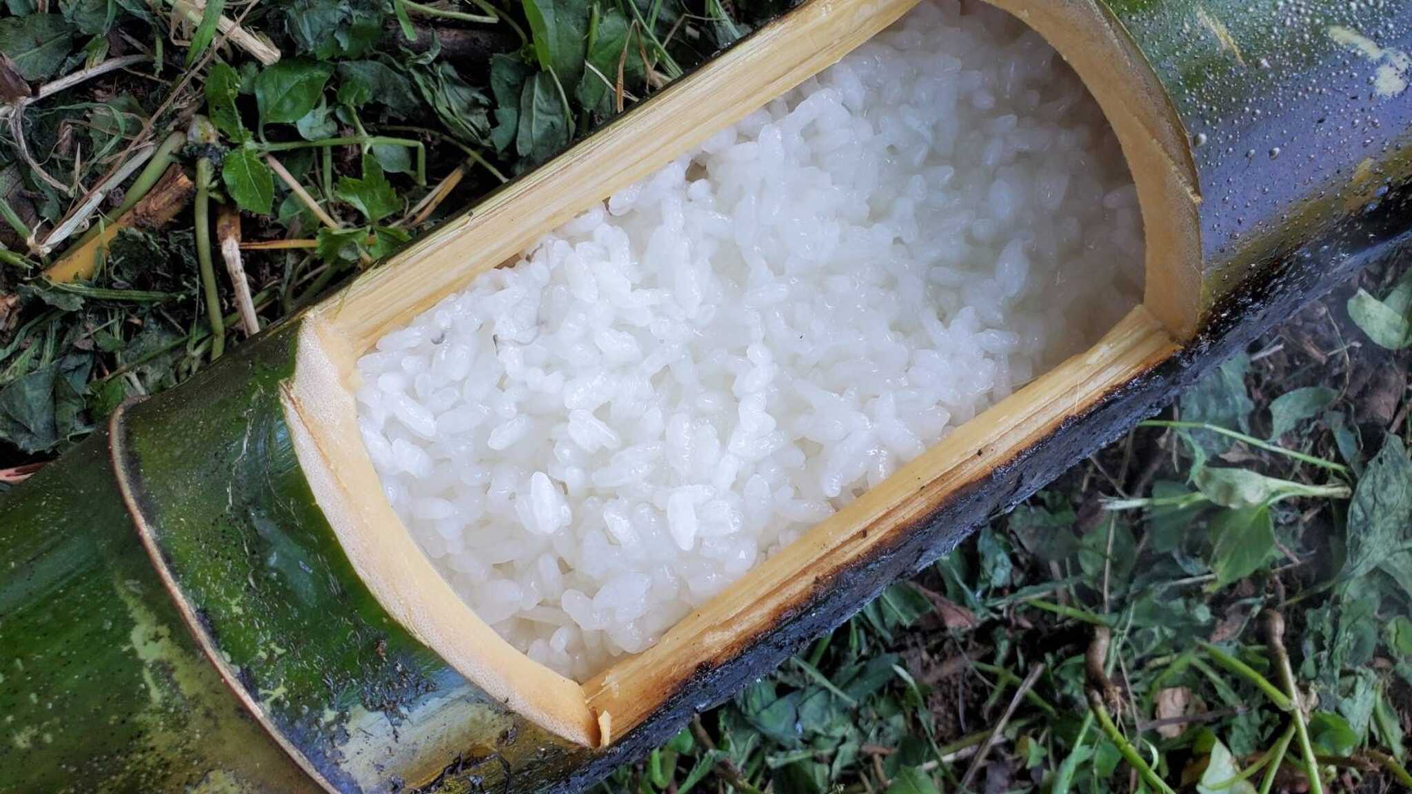 ❤竹筒炊飯が体験できます ★新鮮な竹を切り倒し炊飯器を作ります ★大人はもちろん小さなお子様でも可能で好評です ★竹の倒れる時の迫力もお楽しみください