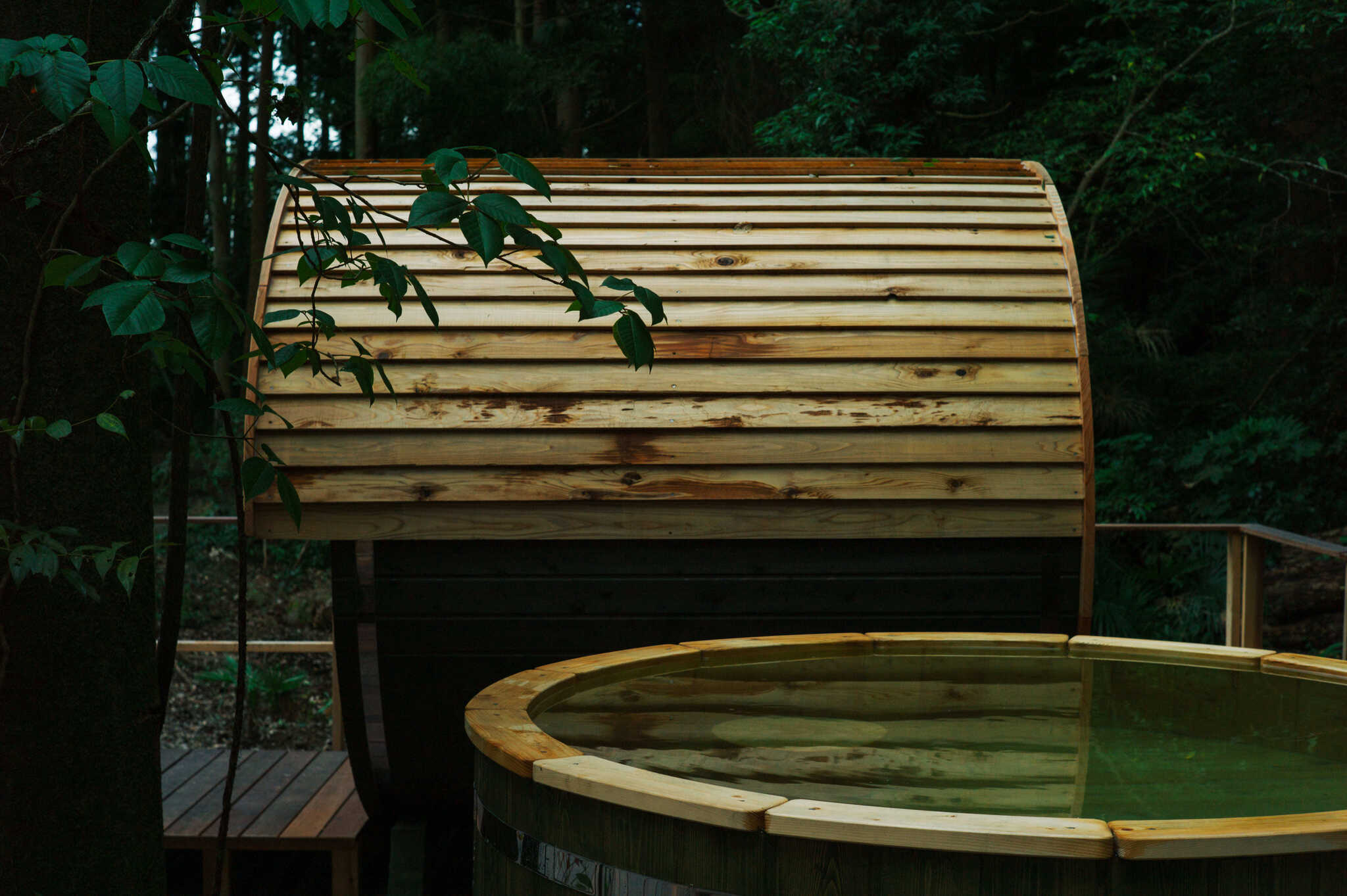 Wakamatsu Preserve