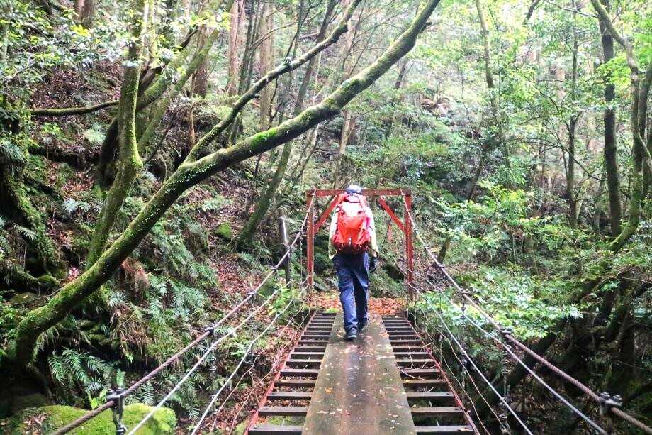 百間山渓谷へのトレッキングもできますよ。