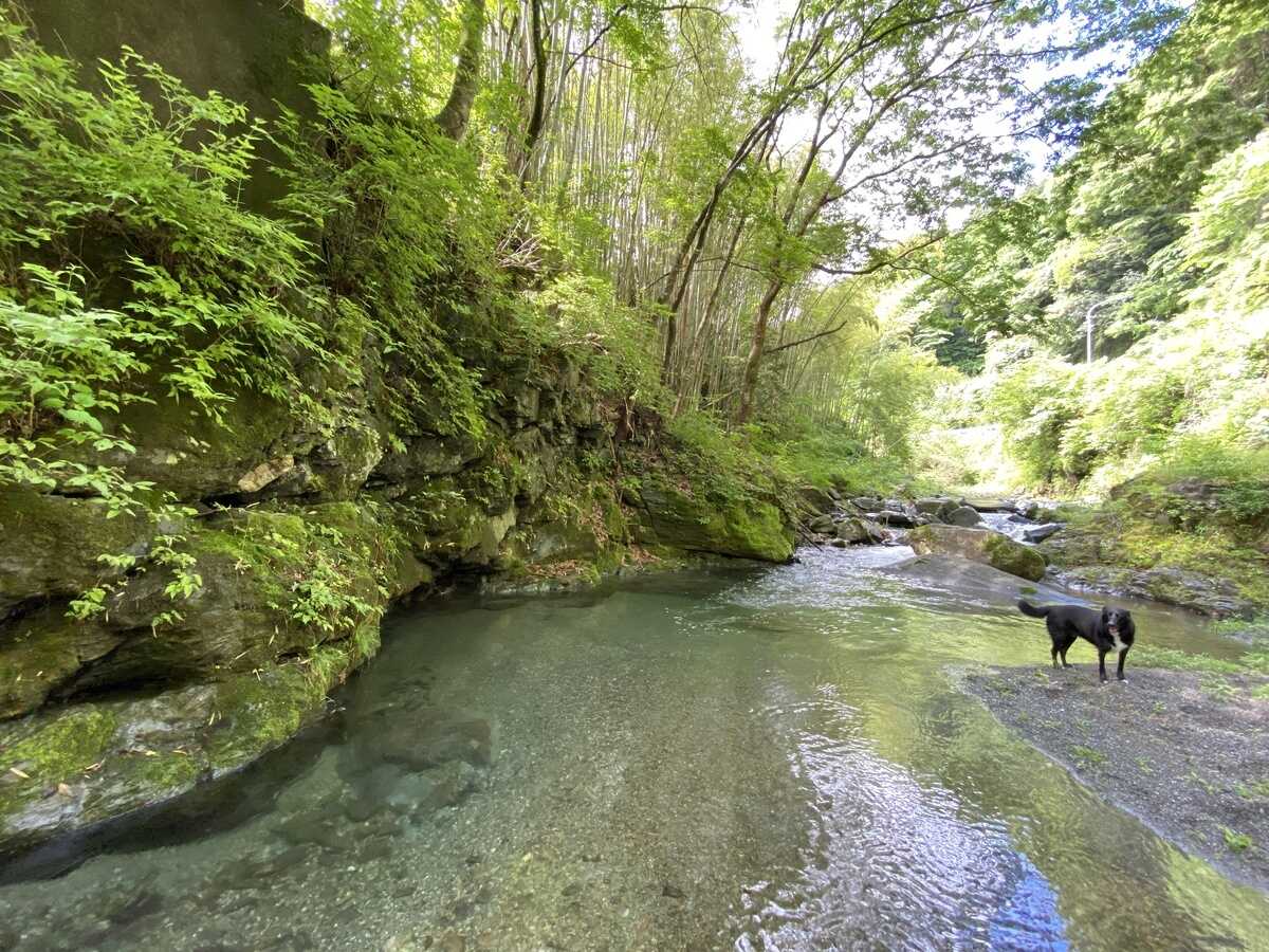 kanrano saunaの写真 3枚目