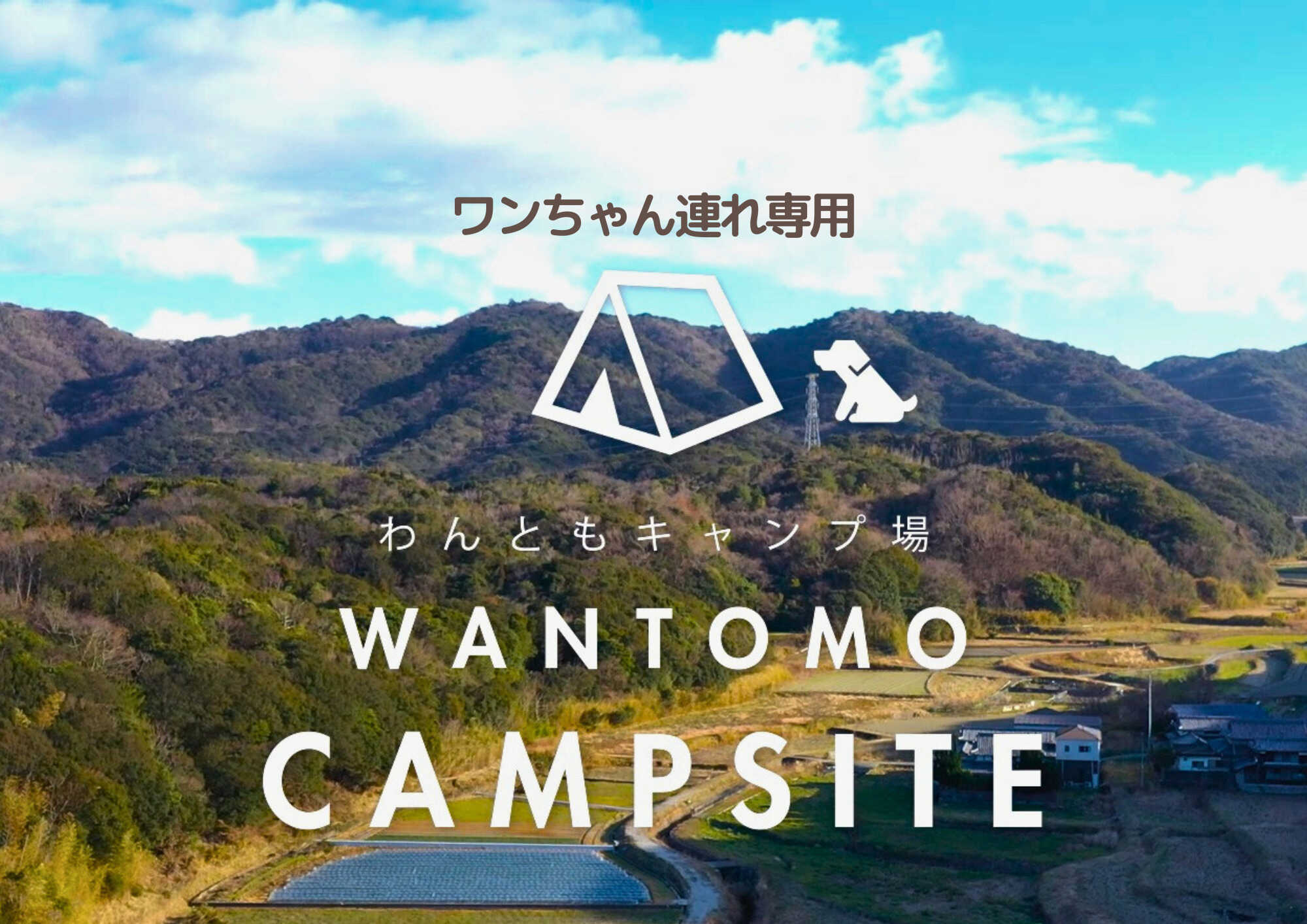 ワンともキャンプ場