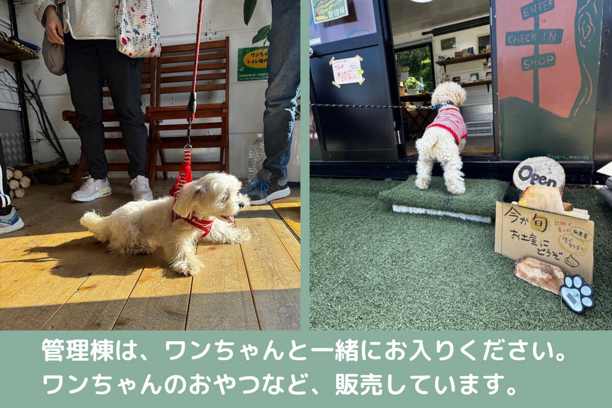 わんちゃん同伴可能な管理棟です。お買い物がてら遊びに来てください!