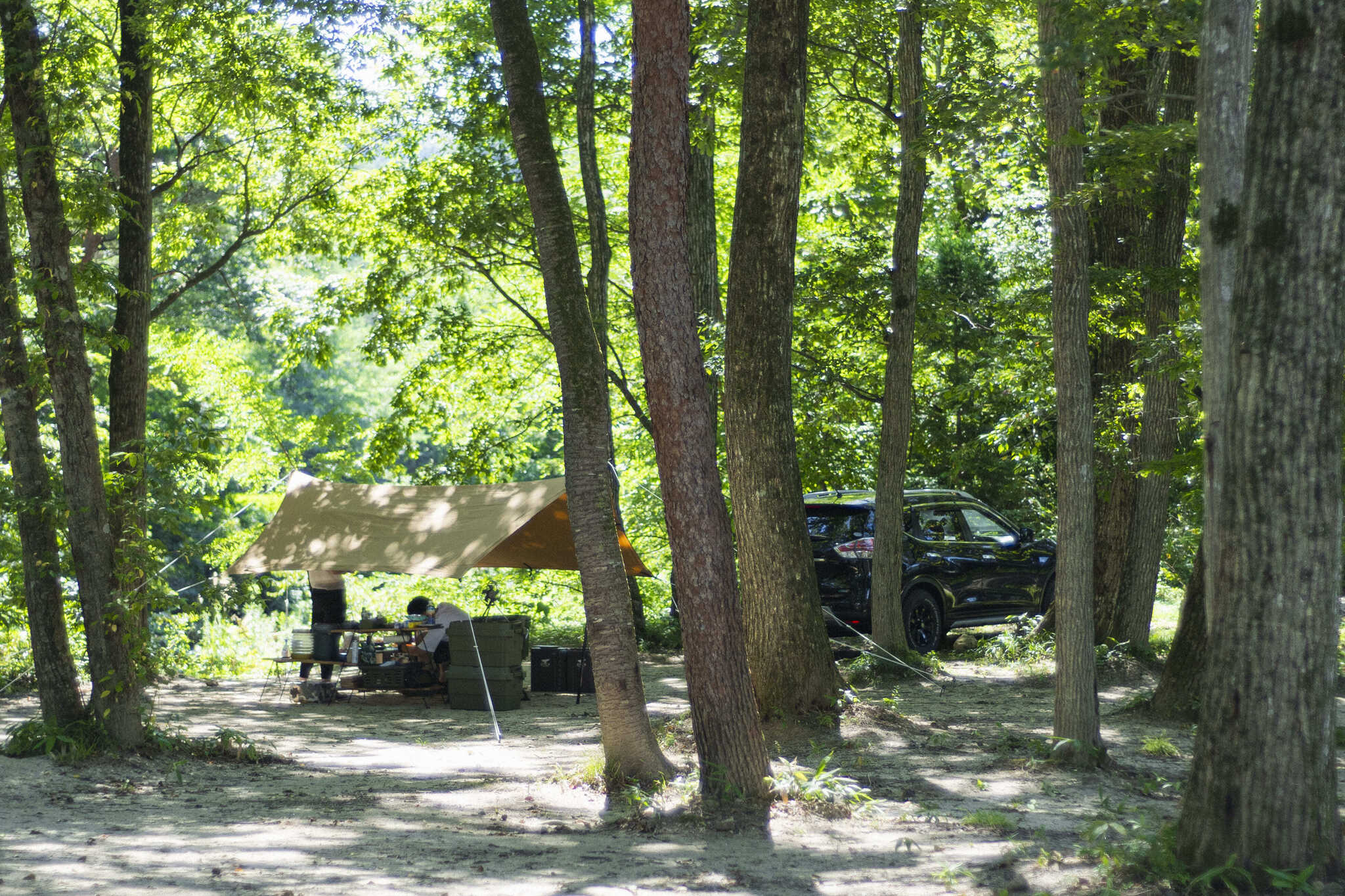 OUSE Camp&Sauna TUULIの写真 4枚目