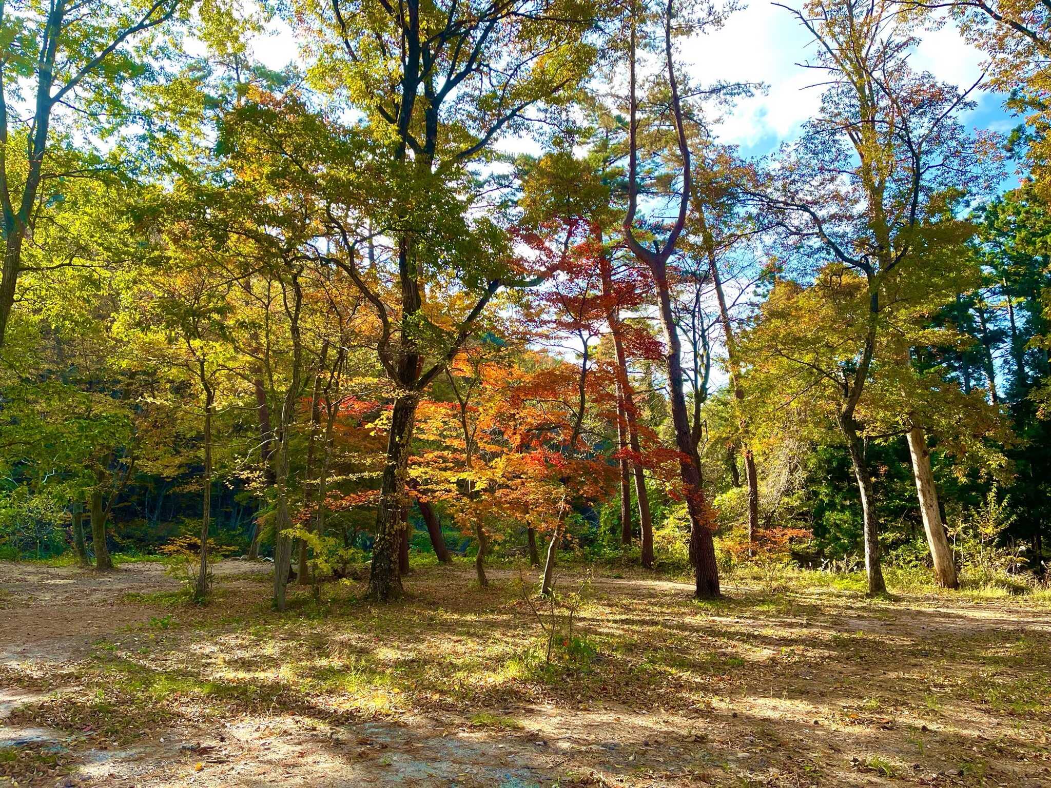 OUSE Camp&Sauna TUULIの写真 2枚目