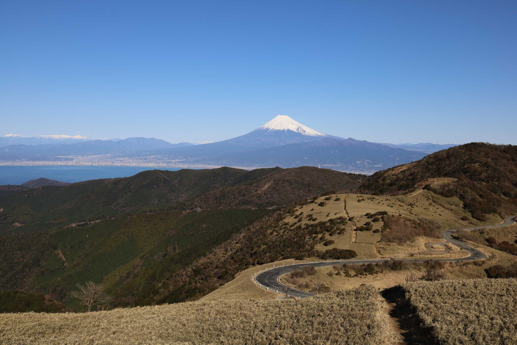 達磨山ハイキングコースからの富士山