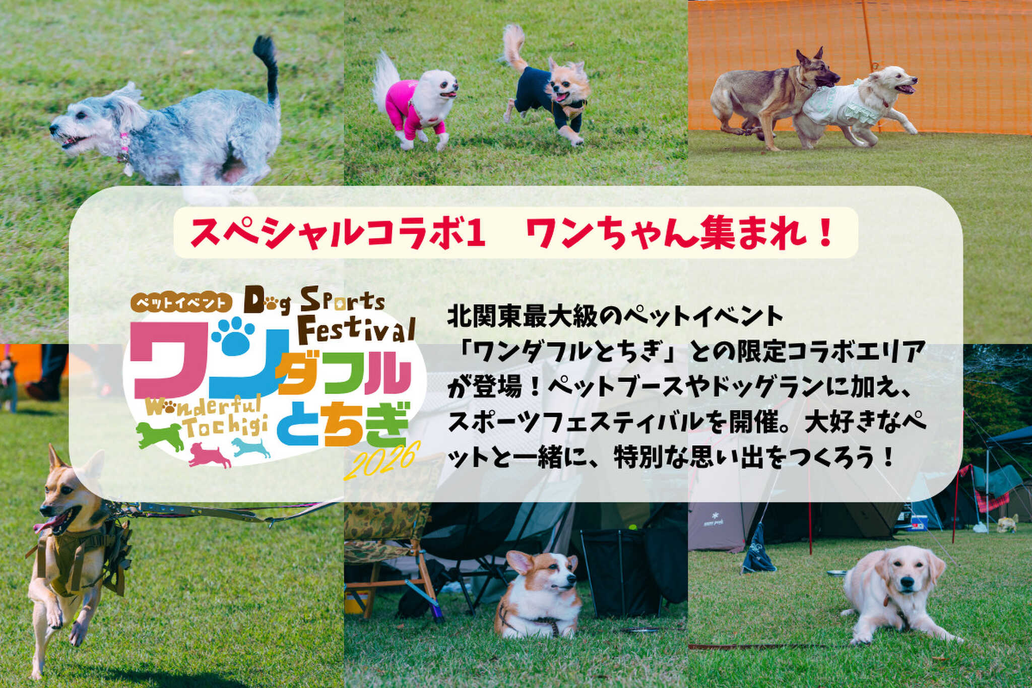 井頭温泉チャットパレスの写真 3枚目