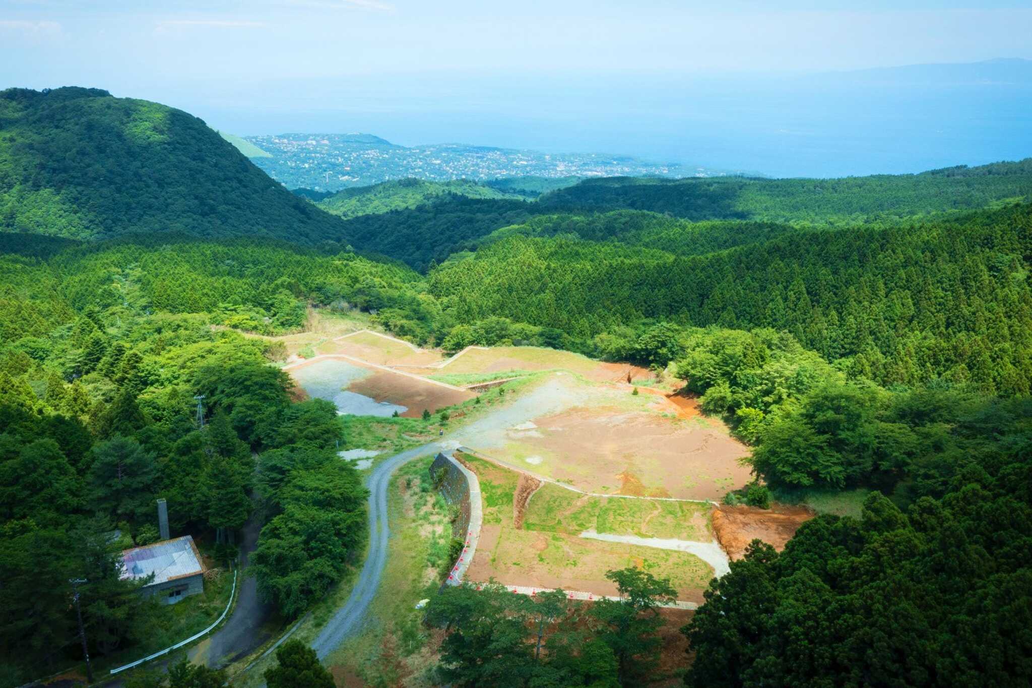 2023夏に向け地面を芝生に変更中2!