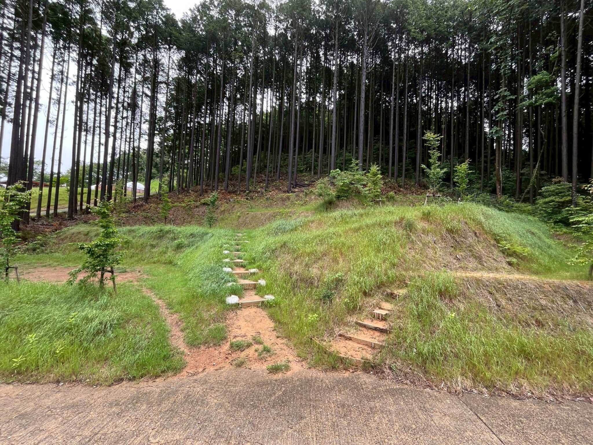 三瀬base campの写真 4枚目