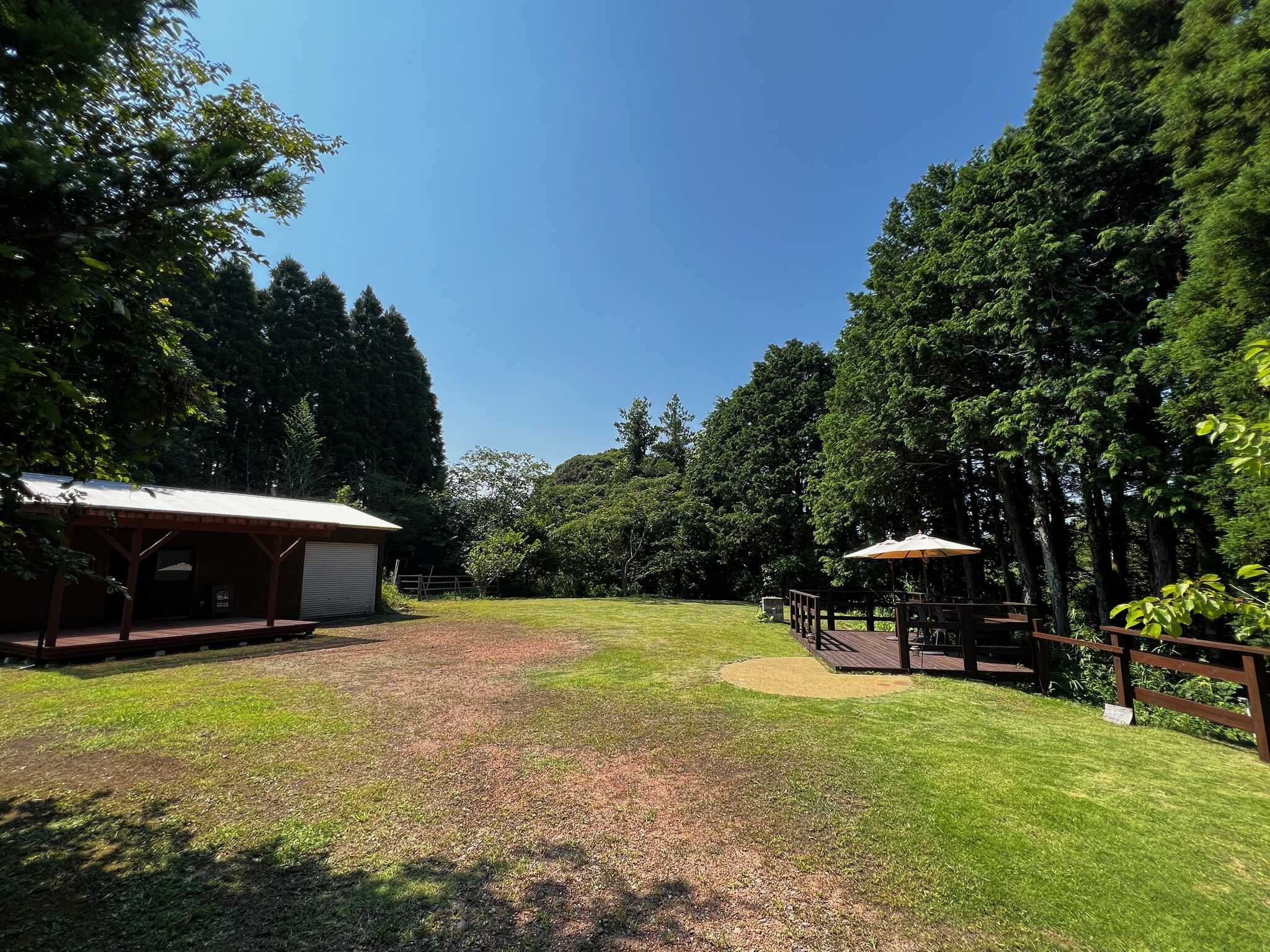 周囲は川に囲まれた自然豊かなキャンプ場です。カワセミやカモも見れます!