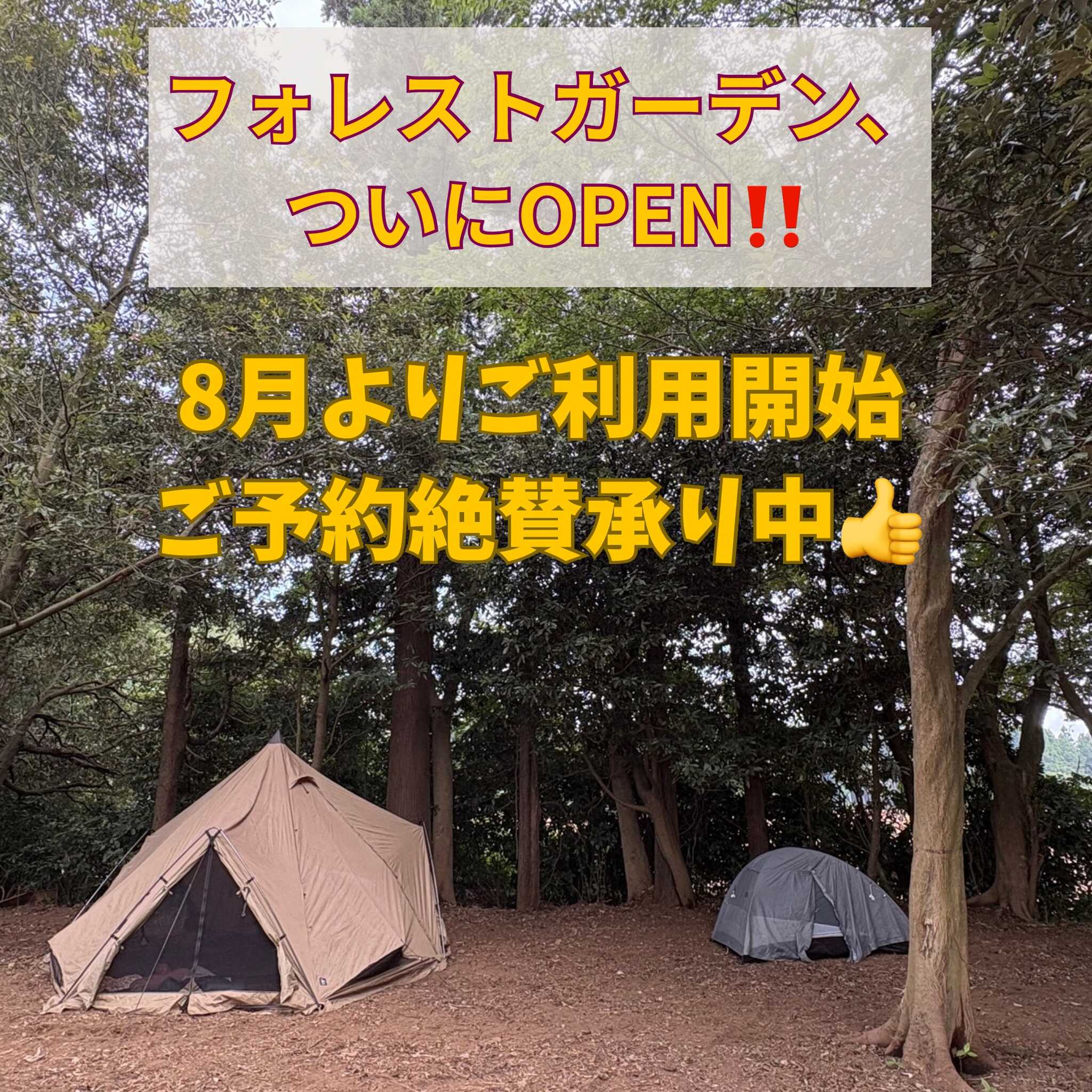 キャンプ場スタッフ