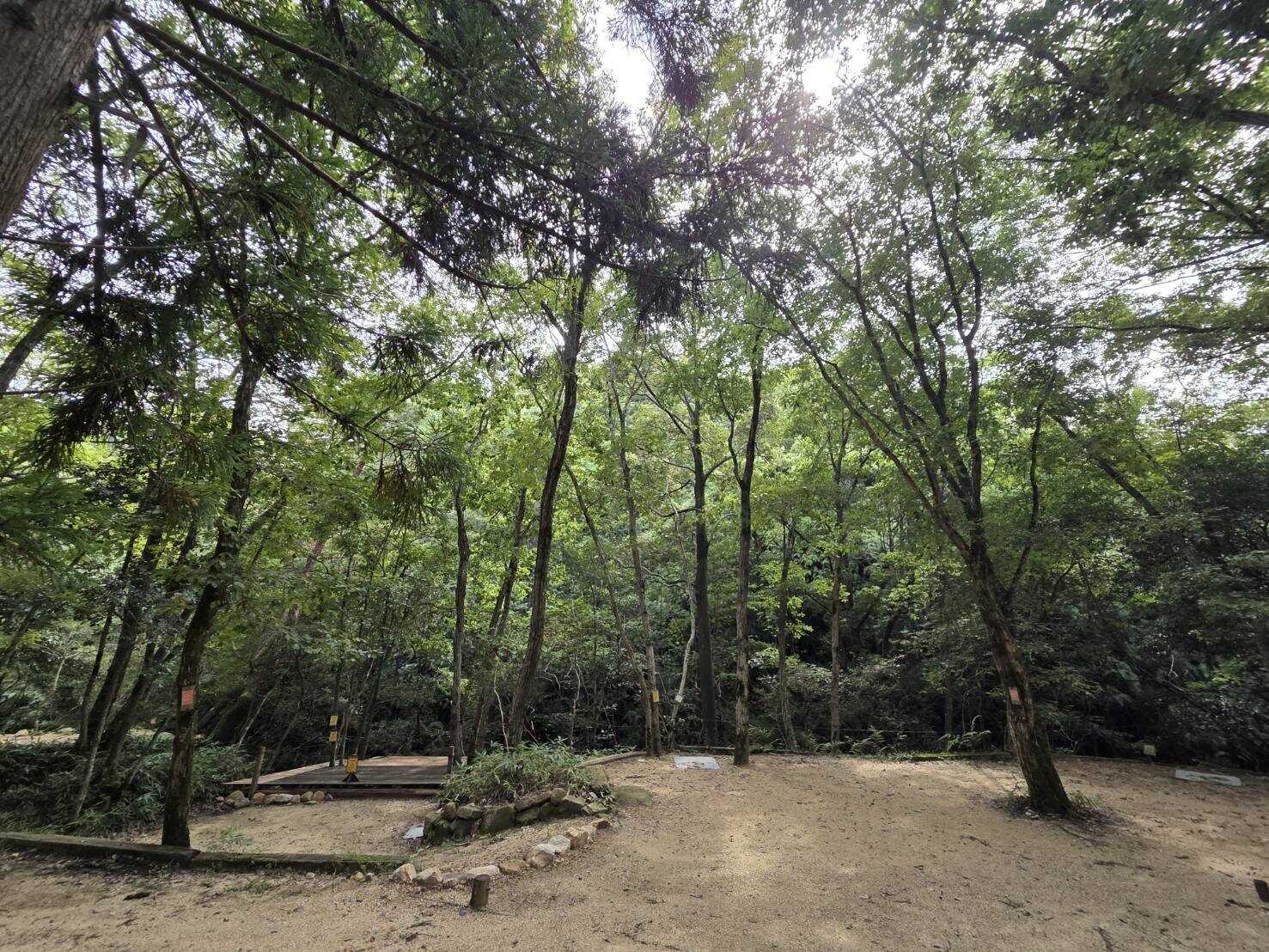 HAPPY山の写真 2枚目
