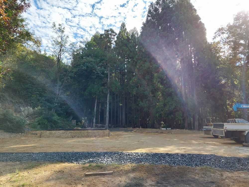No tree 1~4