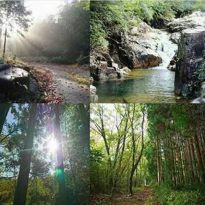 山の神様、古墳の隣 川 自然いっぱい♪