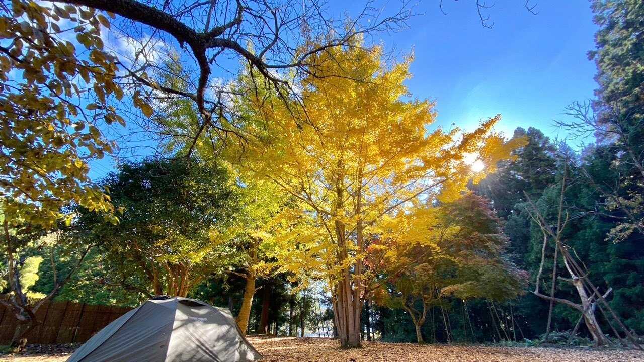 TASTE HOUSE ~ZEN~の写真 2枚目