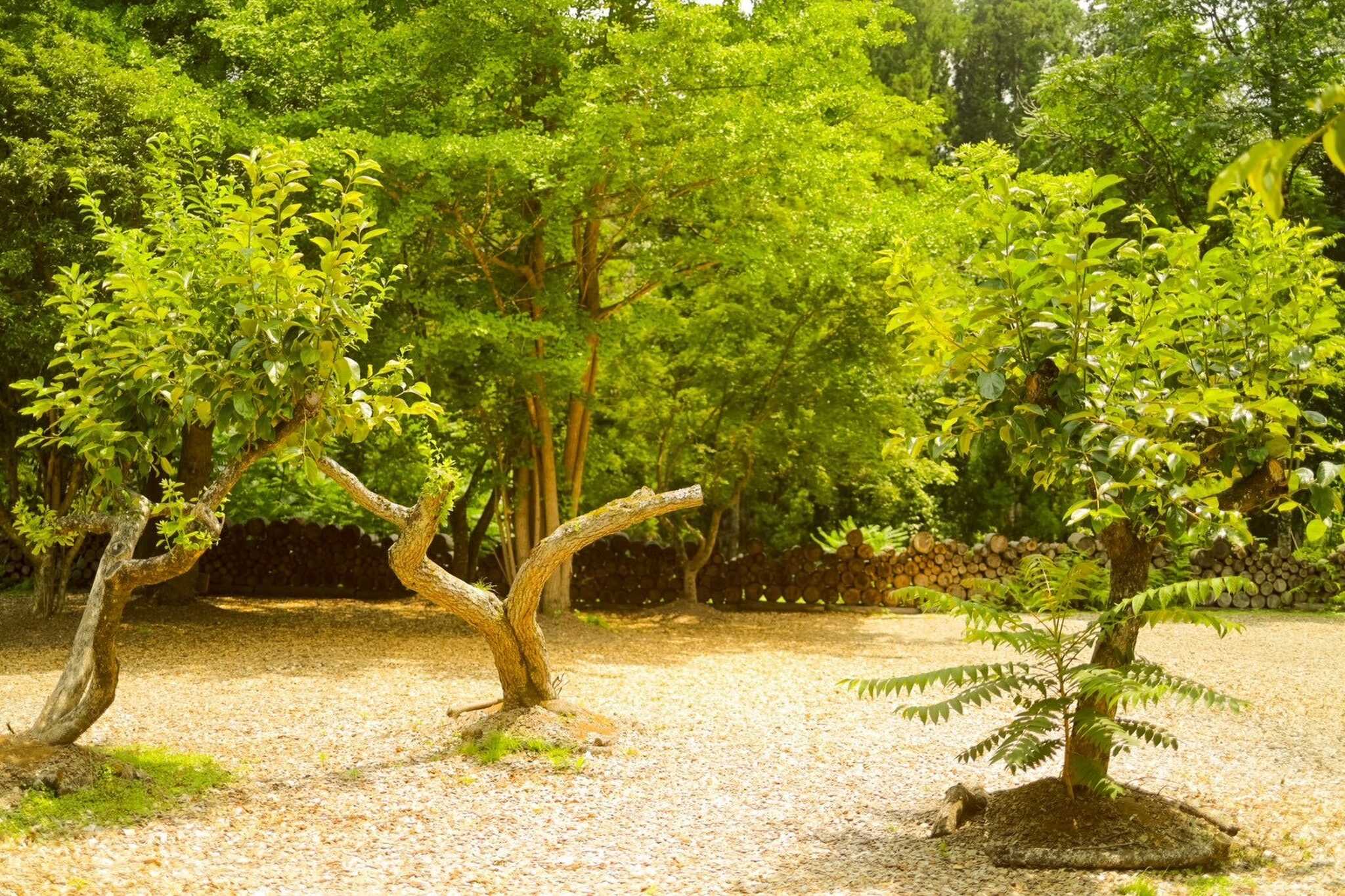 TASTE HOUSE ~ZEN~