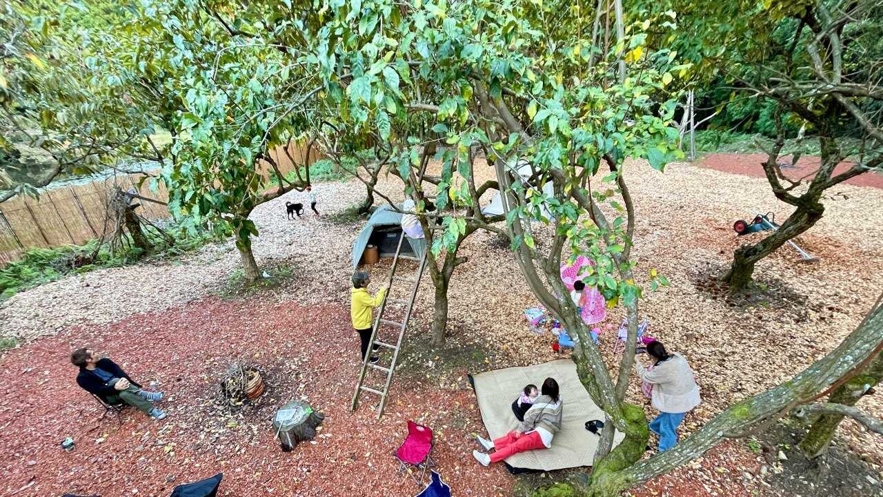TASTE HOUSE ~ZEN~の写真 4枚目
