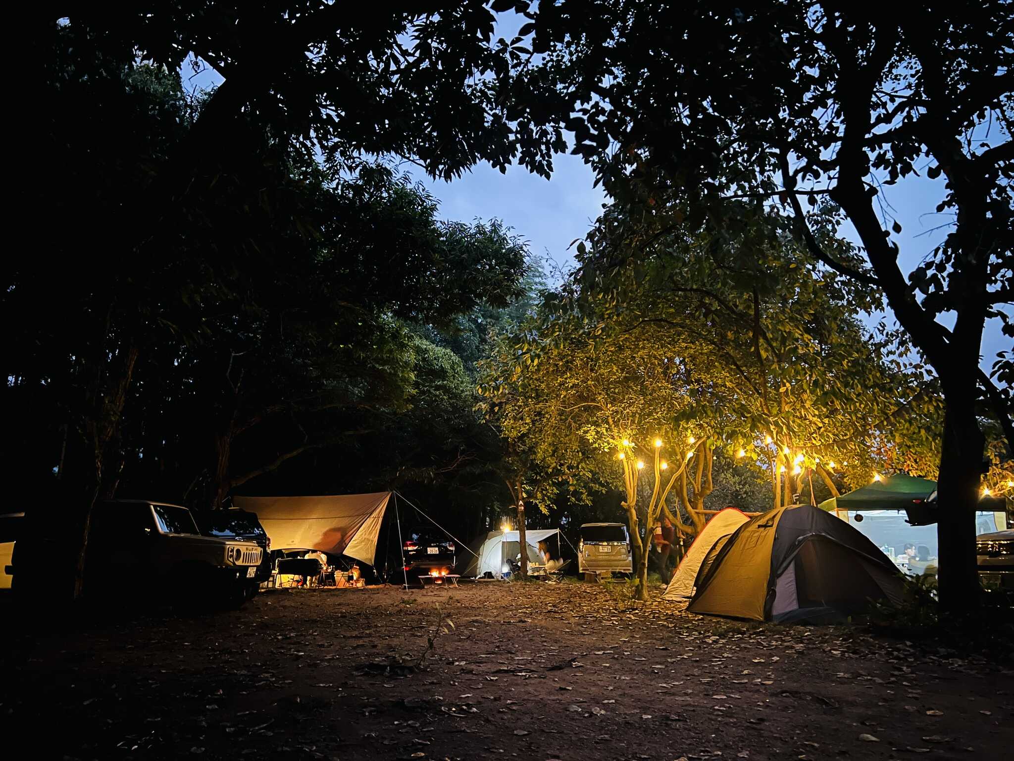7世代CAMP