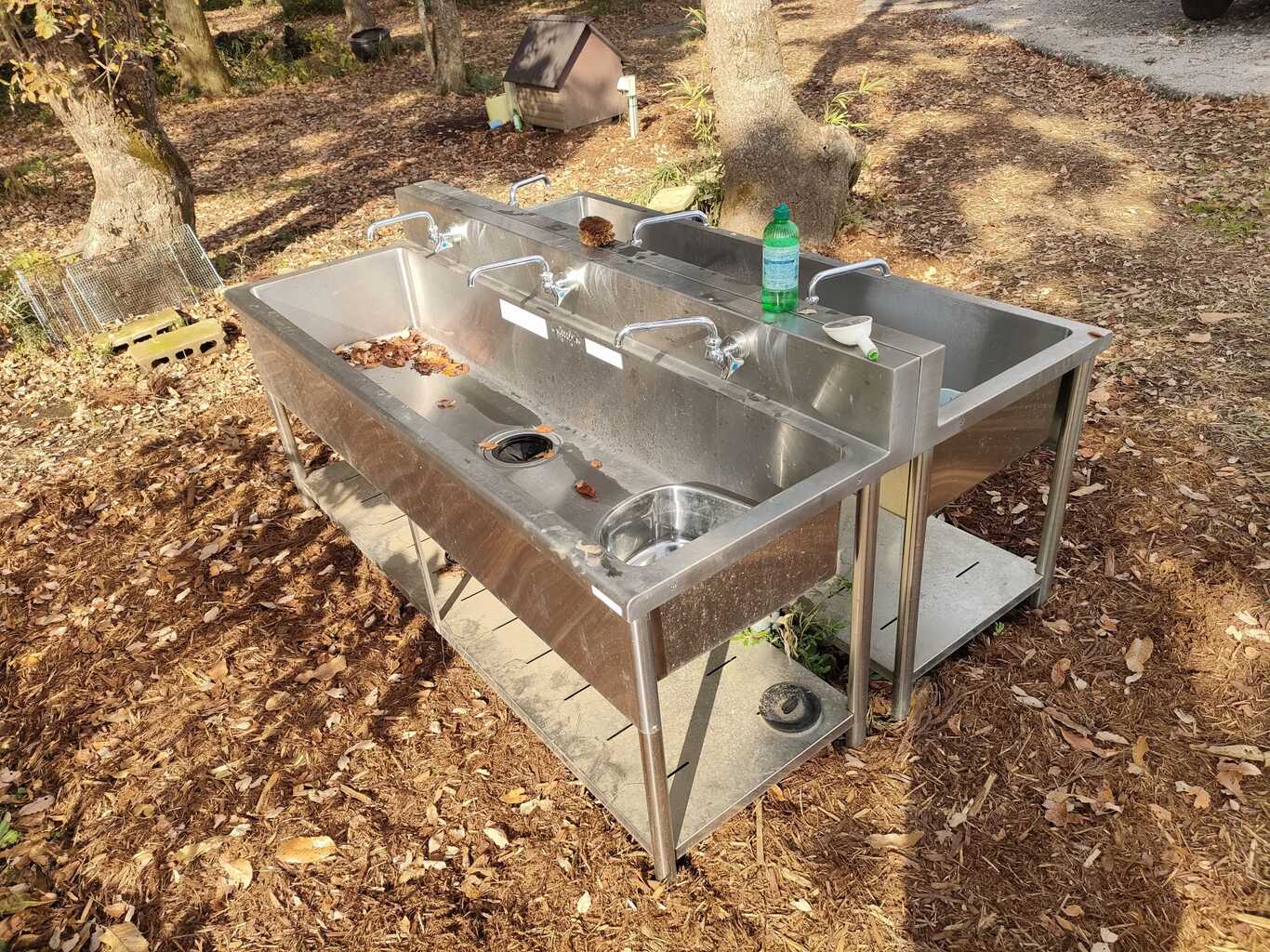 星野農園くぬぎの憩いの森キャンプ場 photo 5