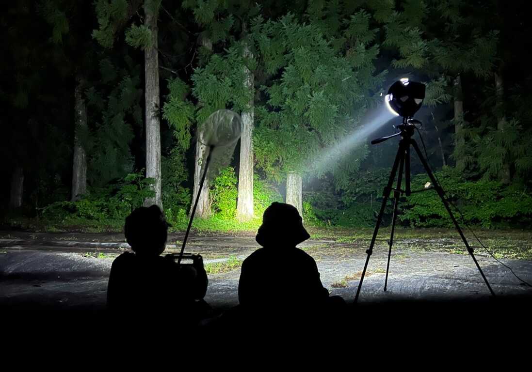 夜空と星のキャンプ場 photo 3