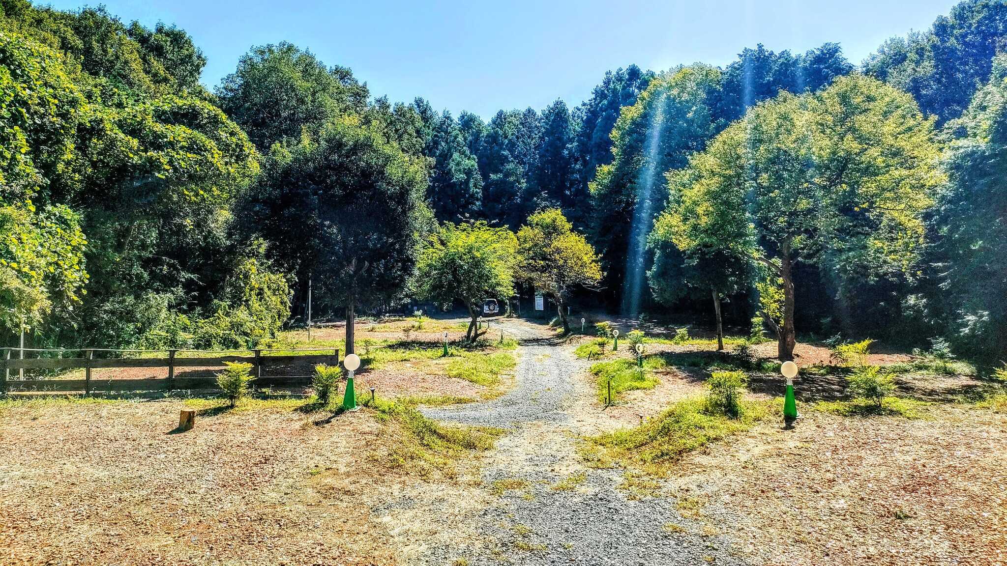 やさとの森キャンプ場