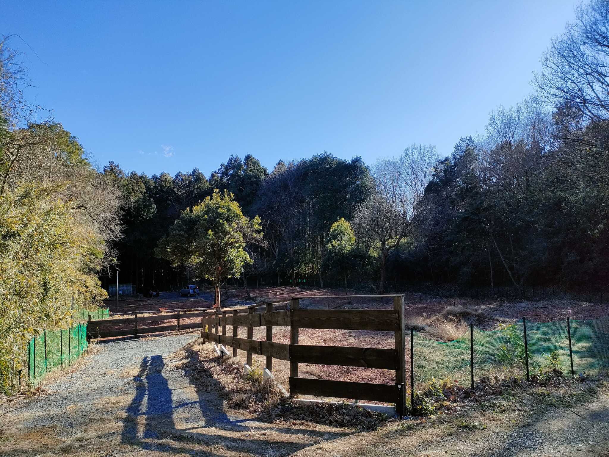 キャンプ場入口からの眺め。森の中の清らかな風と澄んだ空気を体感できます。