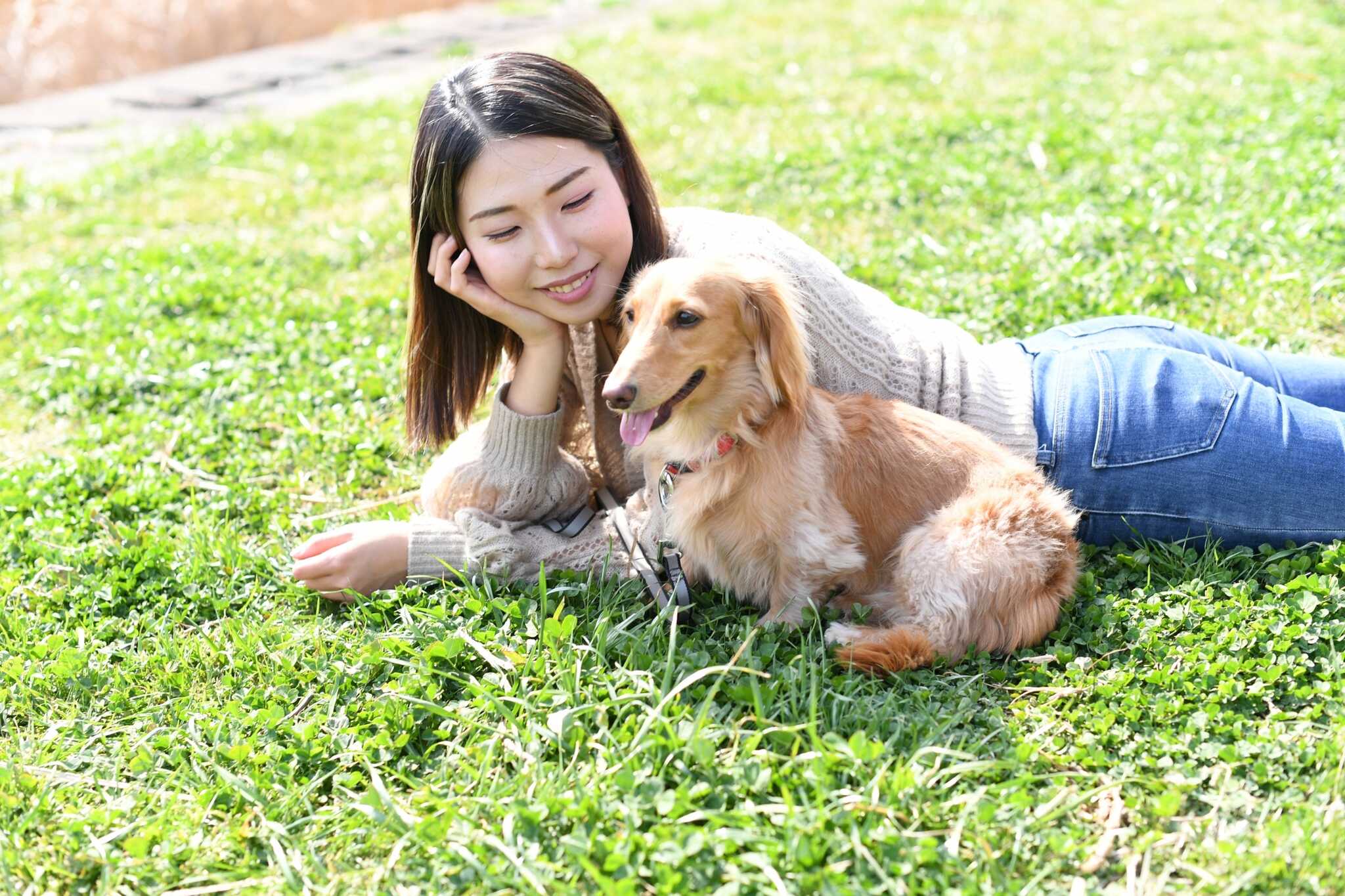 ペットOK!一緒にキャンプをして周辺散策や自然を楽しむ大切な時間をお過ごしください☆