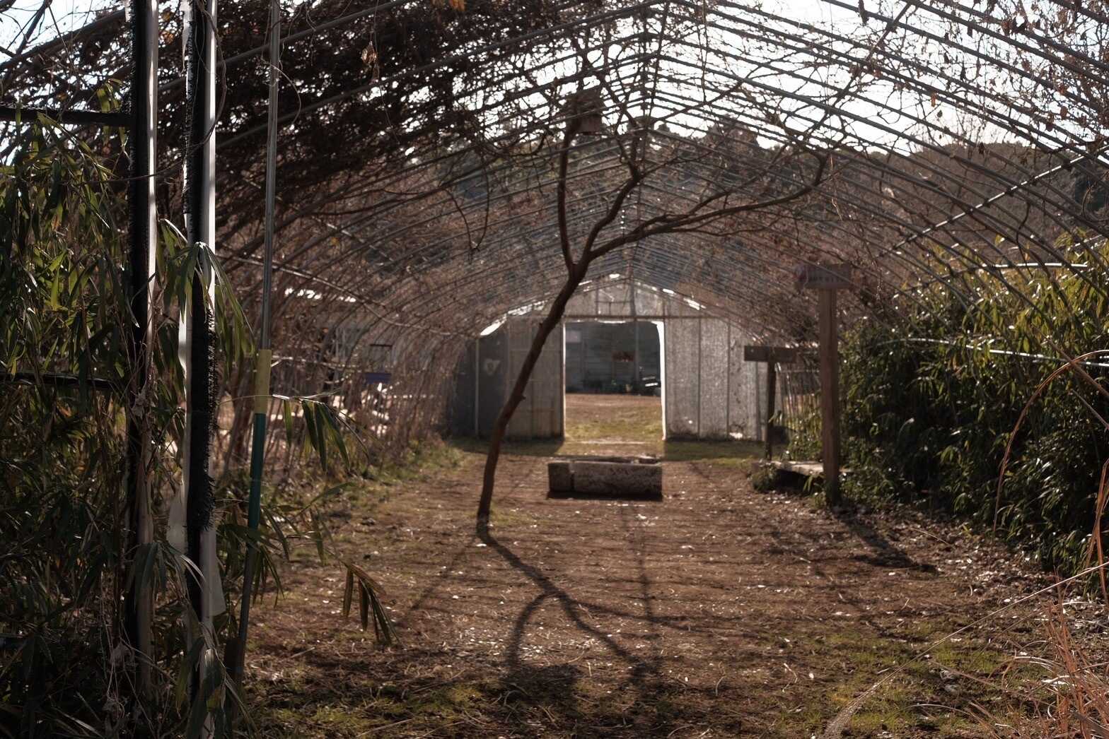 潮来キャンプサイトの写真 4枚目