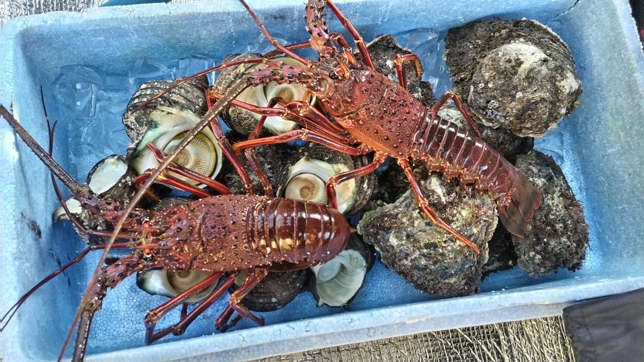 ご予算に応じてBBQ用の海鮮食材もご準備できます!季節によって準備できるものが変わりますので事前にご連絡ください。