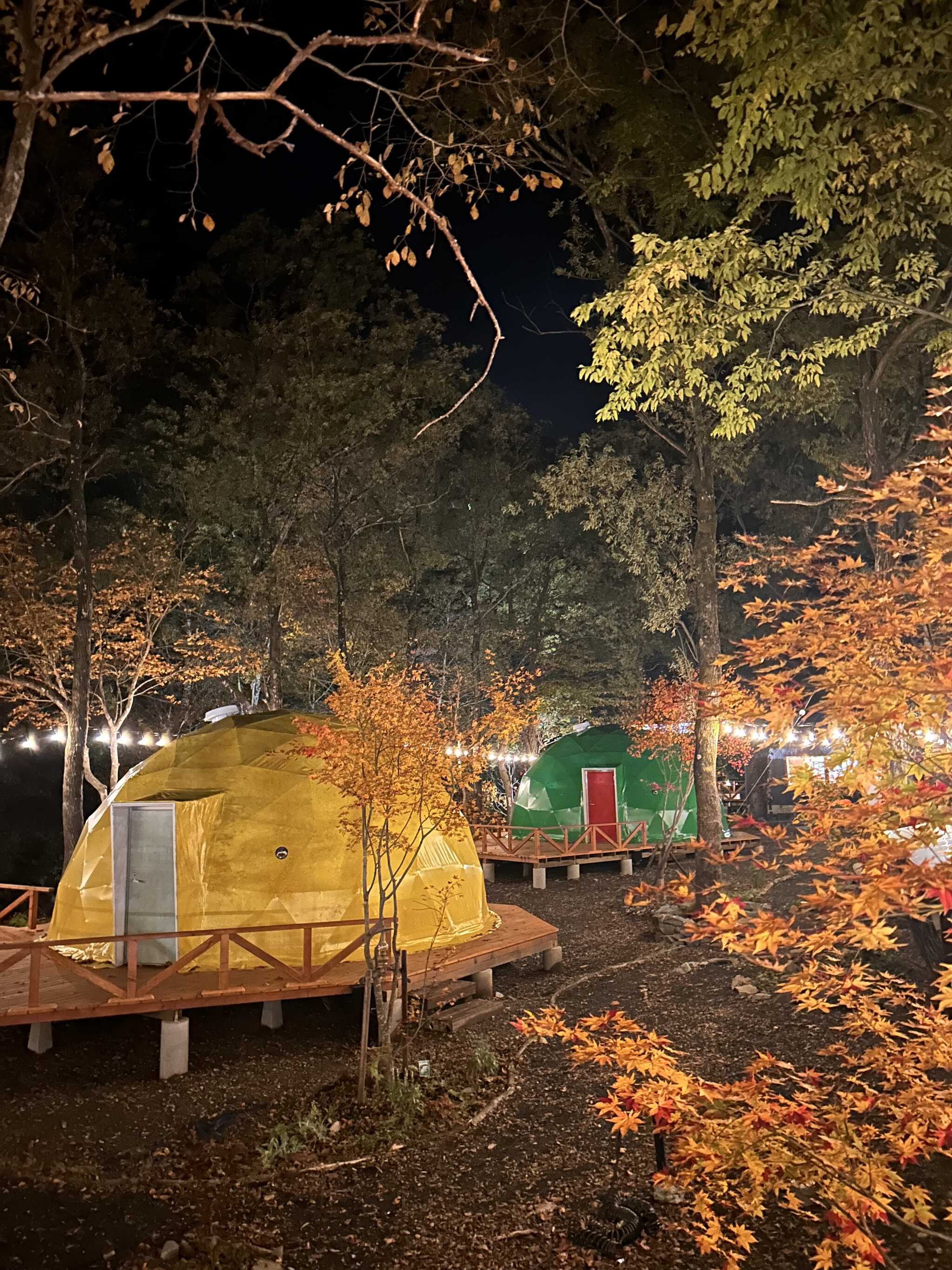 tas+minakami glamping parkの写真 3枚目