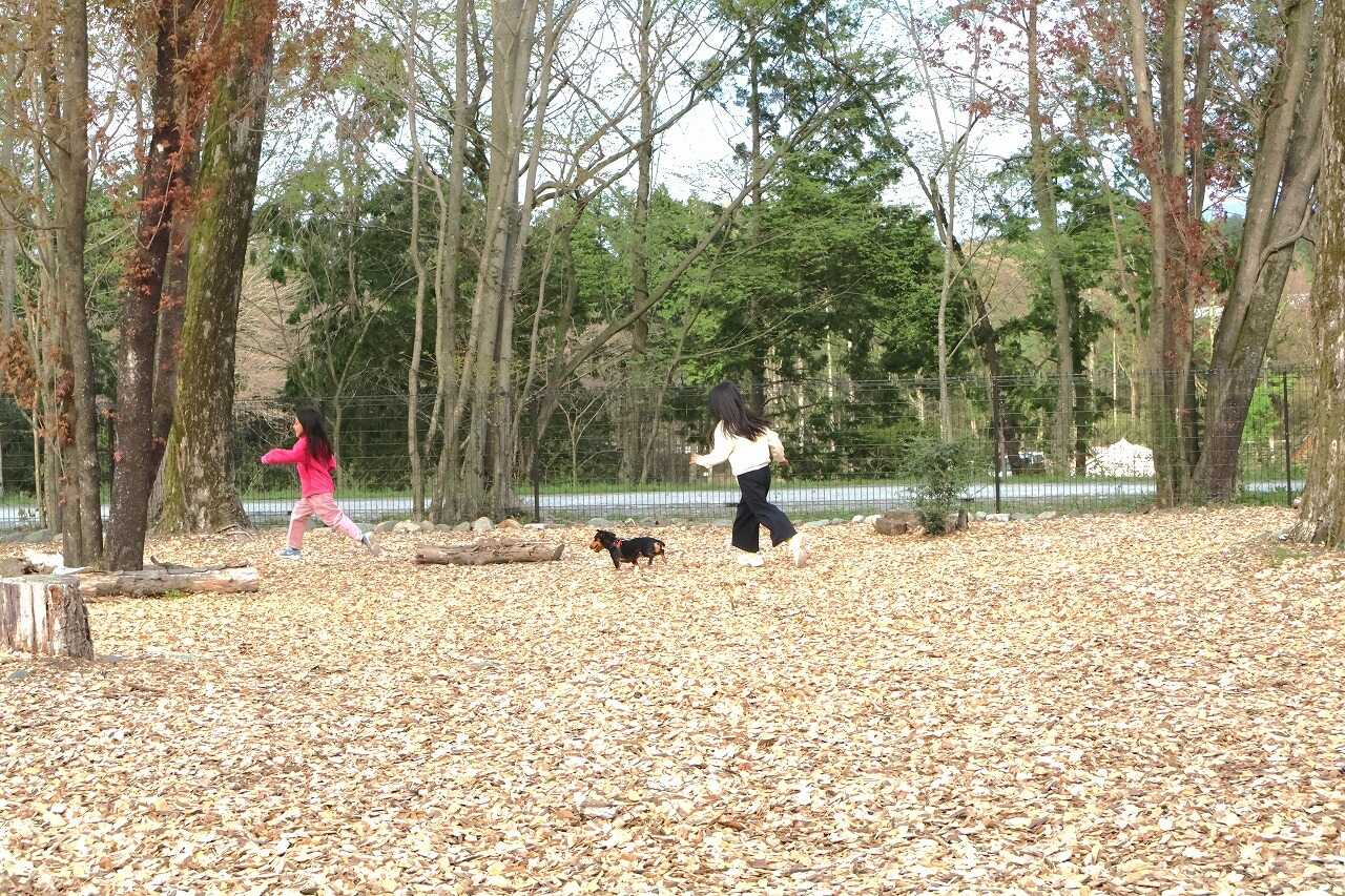 朝霧Camp Base そらいろの写真 5枚目