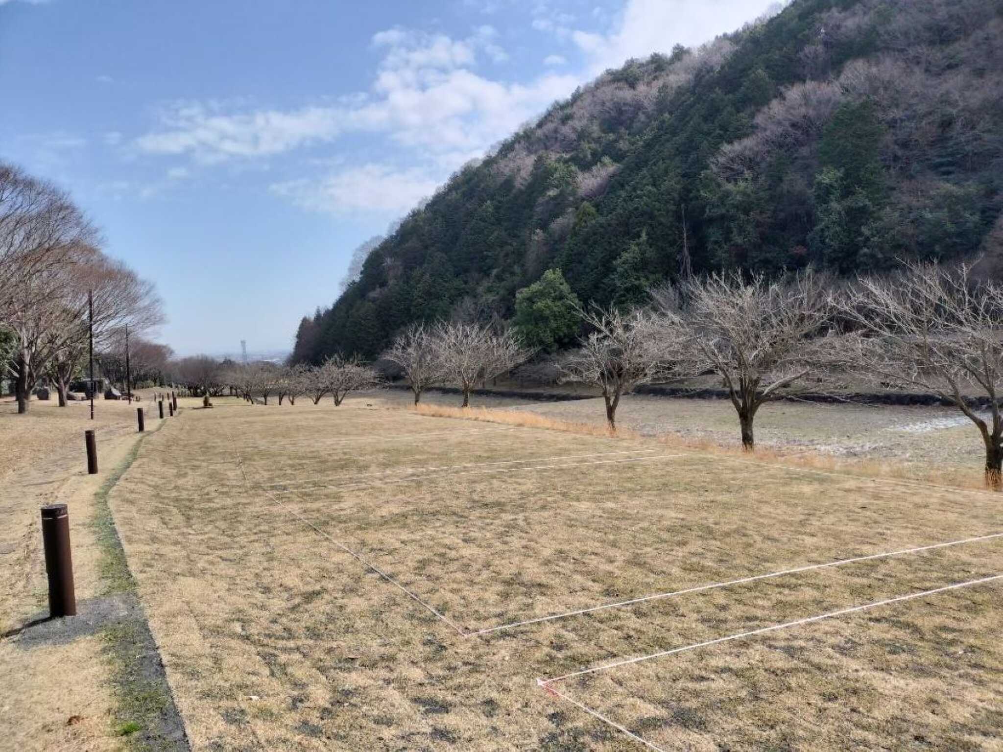芝生のきれいなサイトでキャンプが楽しめます。