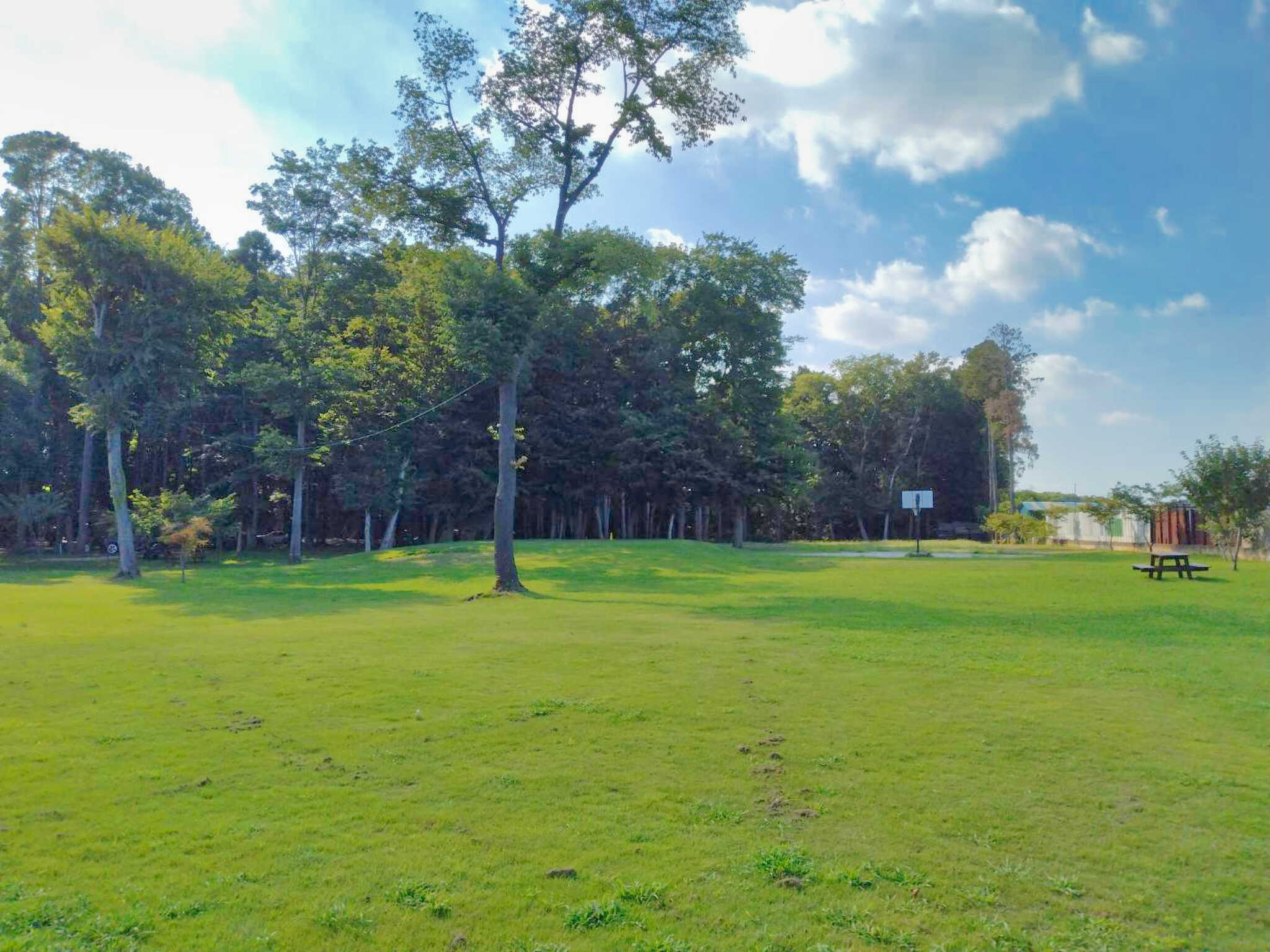 evergreen の写真 2枚目