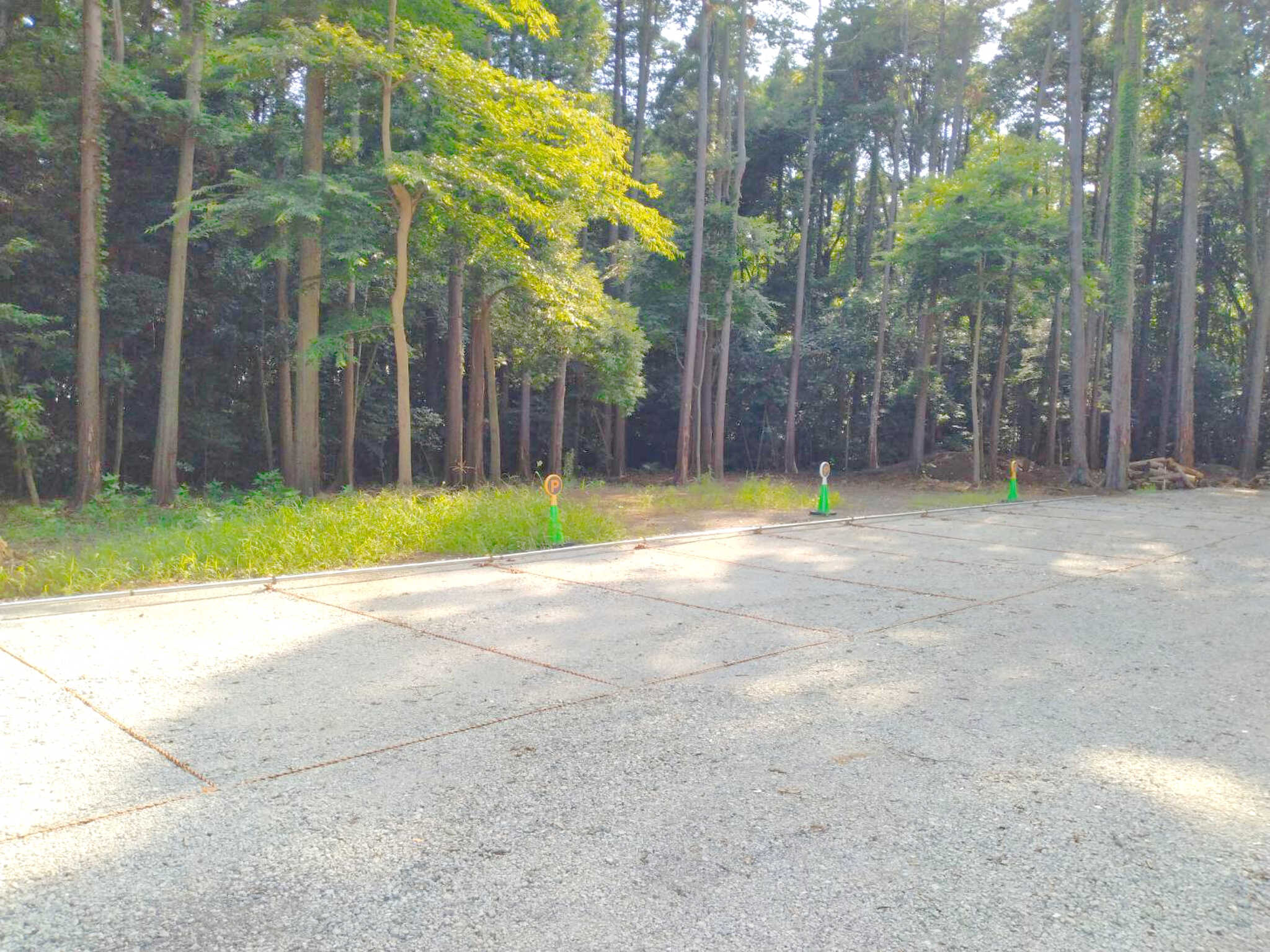 evergreen の写真 5枚目