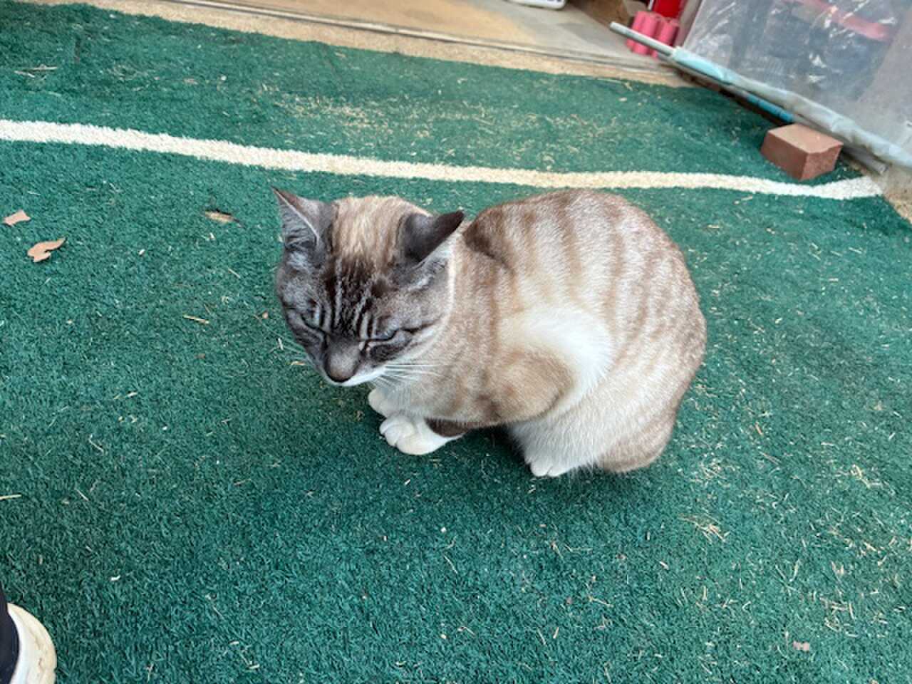 祐子