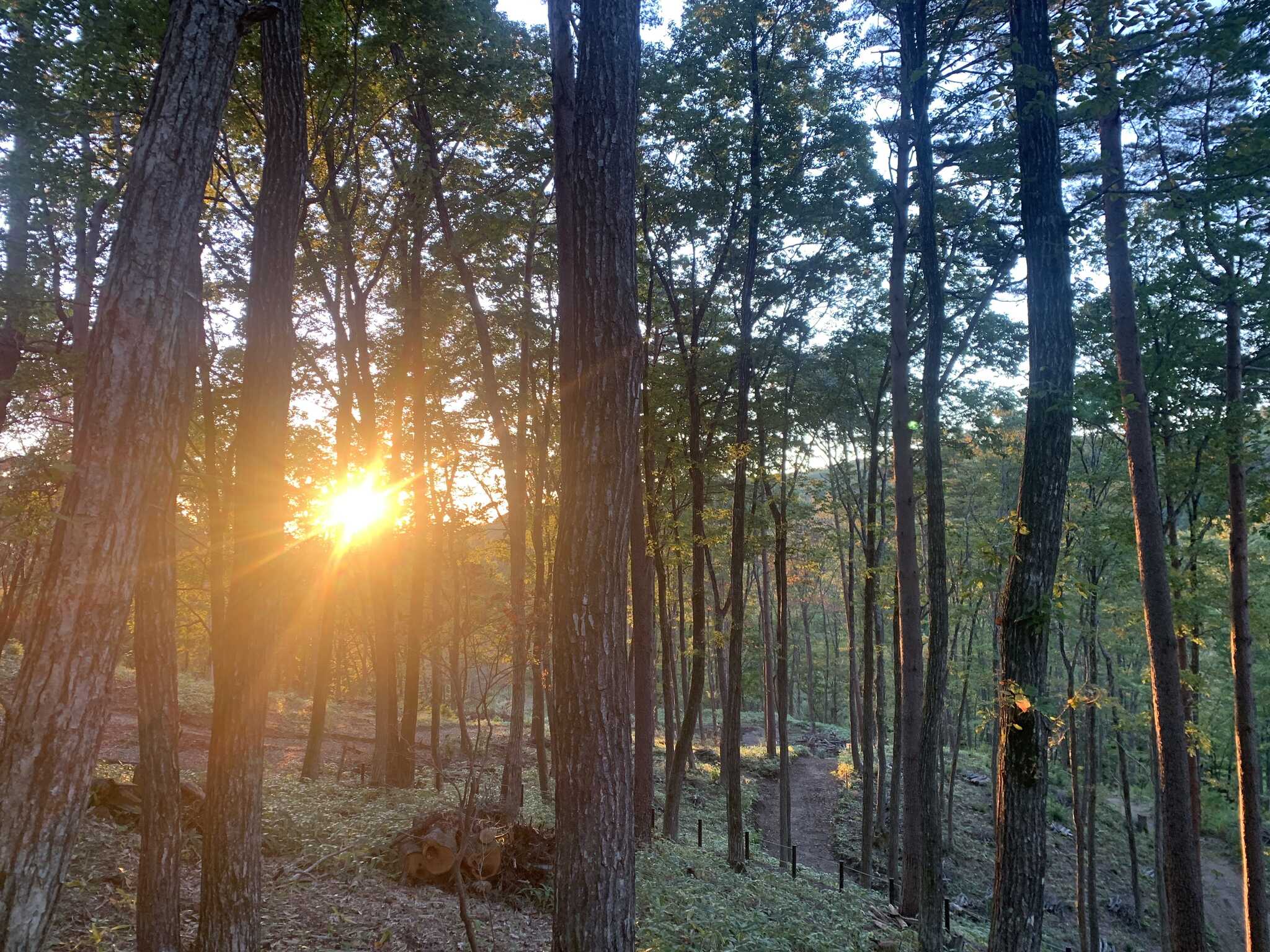 葛尾村森林公園 もりもりランド・かつらおの写真 3枚目