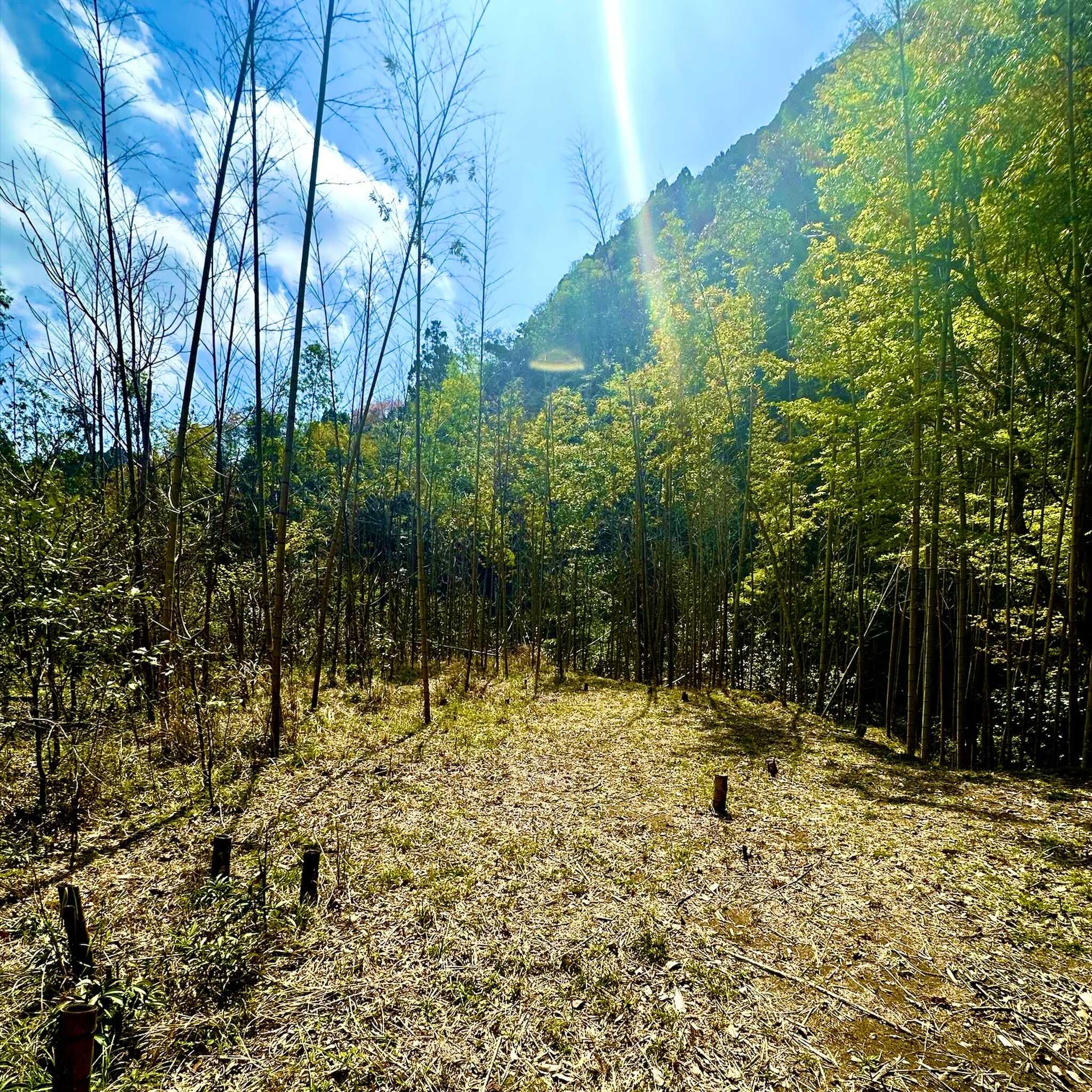 【R5/6閉鎖→移転】Tarareba riverside base camp