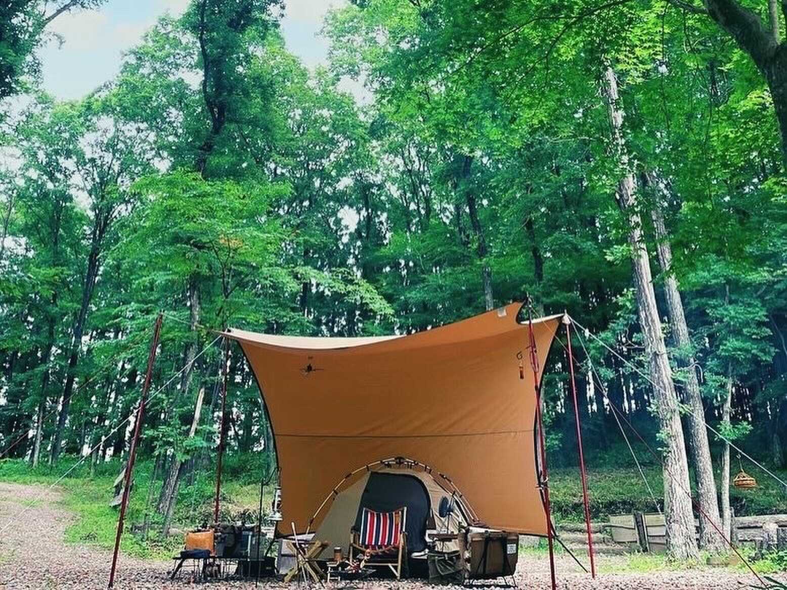 FORESTPIA CAMP I RIE