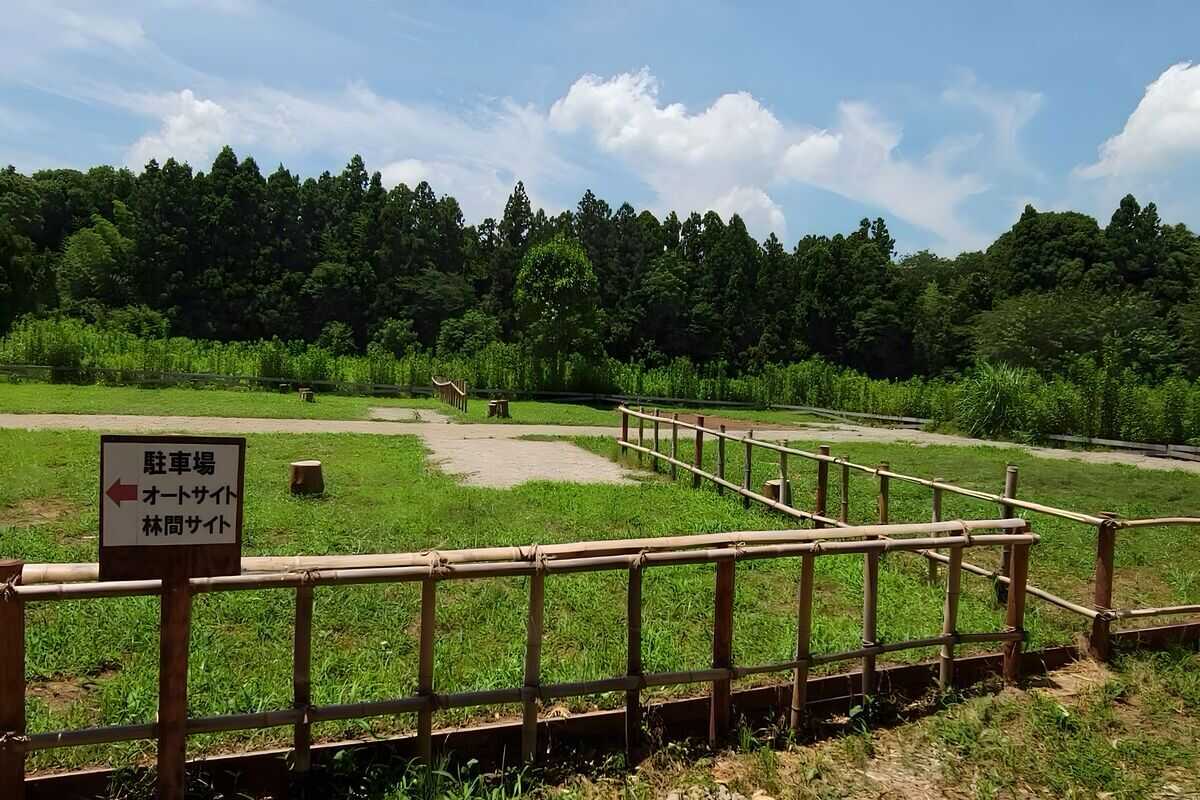 バンブーグローブ オートキャンプ場の写真 4枚目