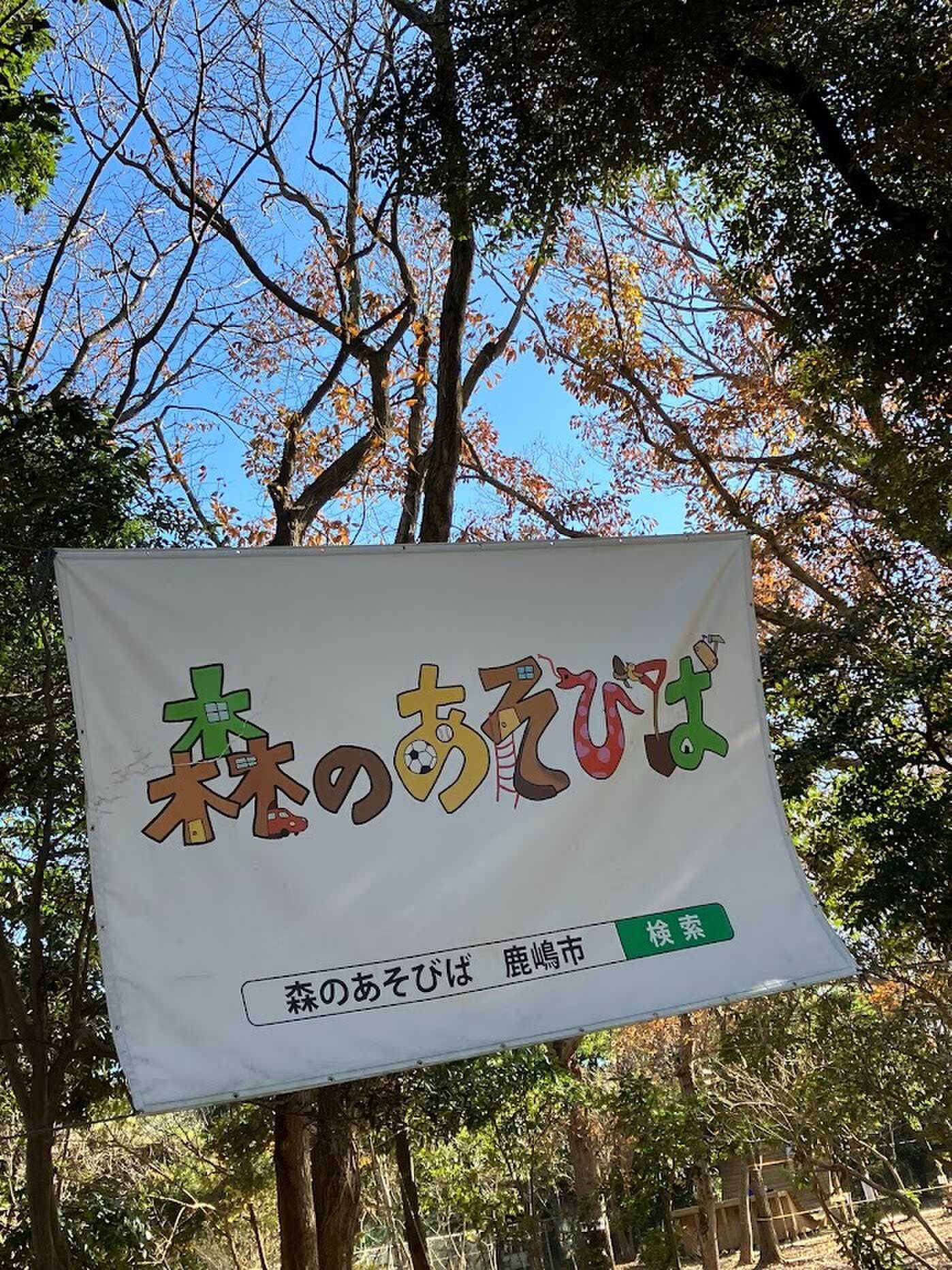 森のあそびば