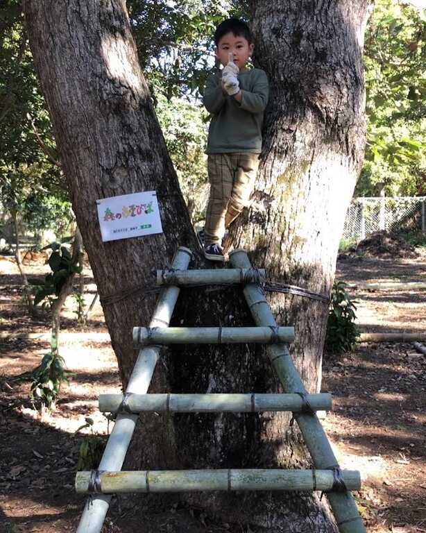 森のあそびば photo 3