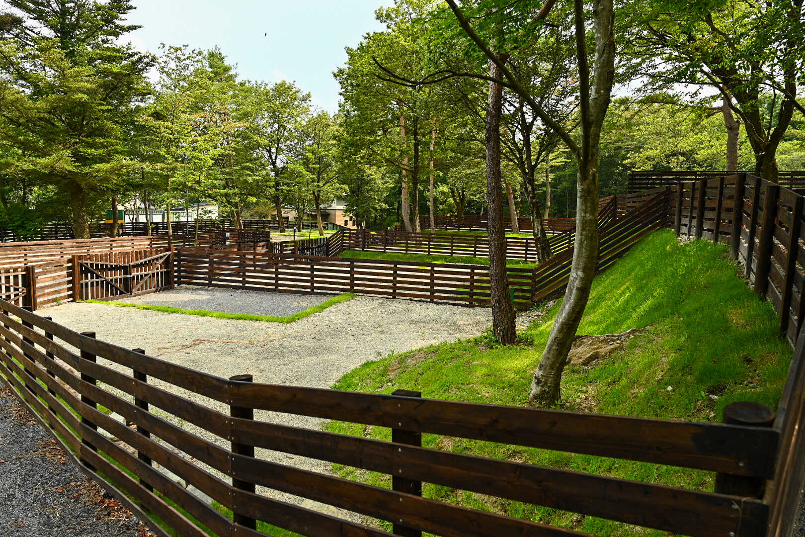 那須オートキャンプ場 グリーンベース