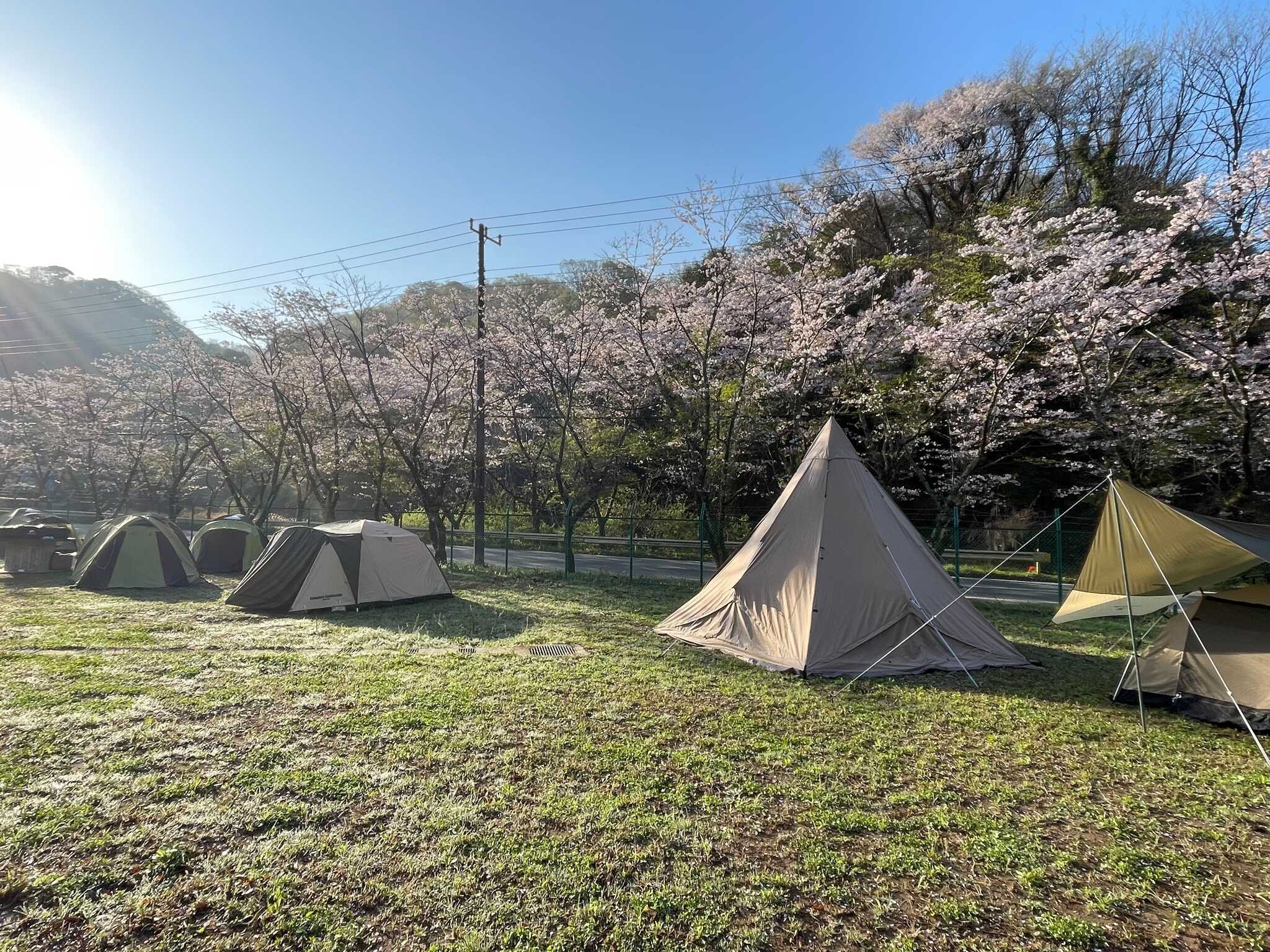 foo dee's BBQ & Dog run campsiteの写真 5枚目