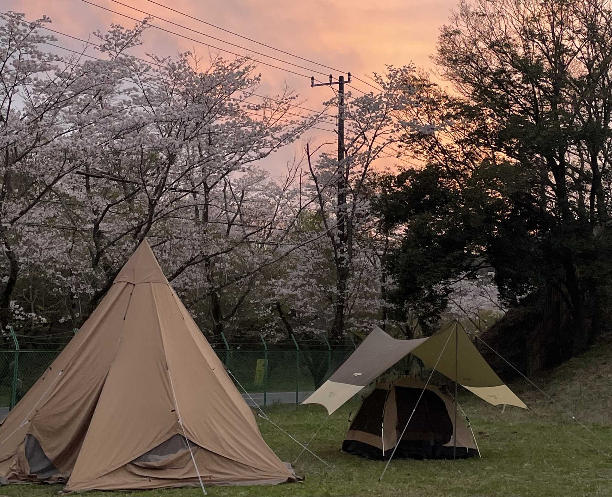 foo dee's BBQ & Dog run campsiteの写真 1枚目