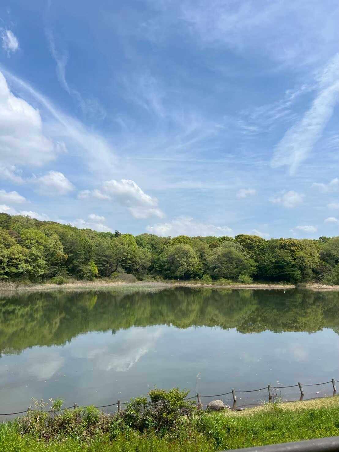 キャンプ&バーベキュー場 ヤネルの写真 2枚目