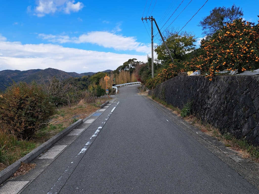 中峯404 photo 4