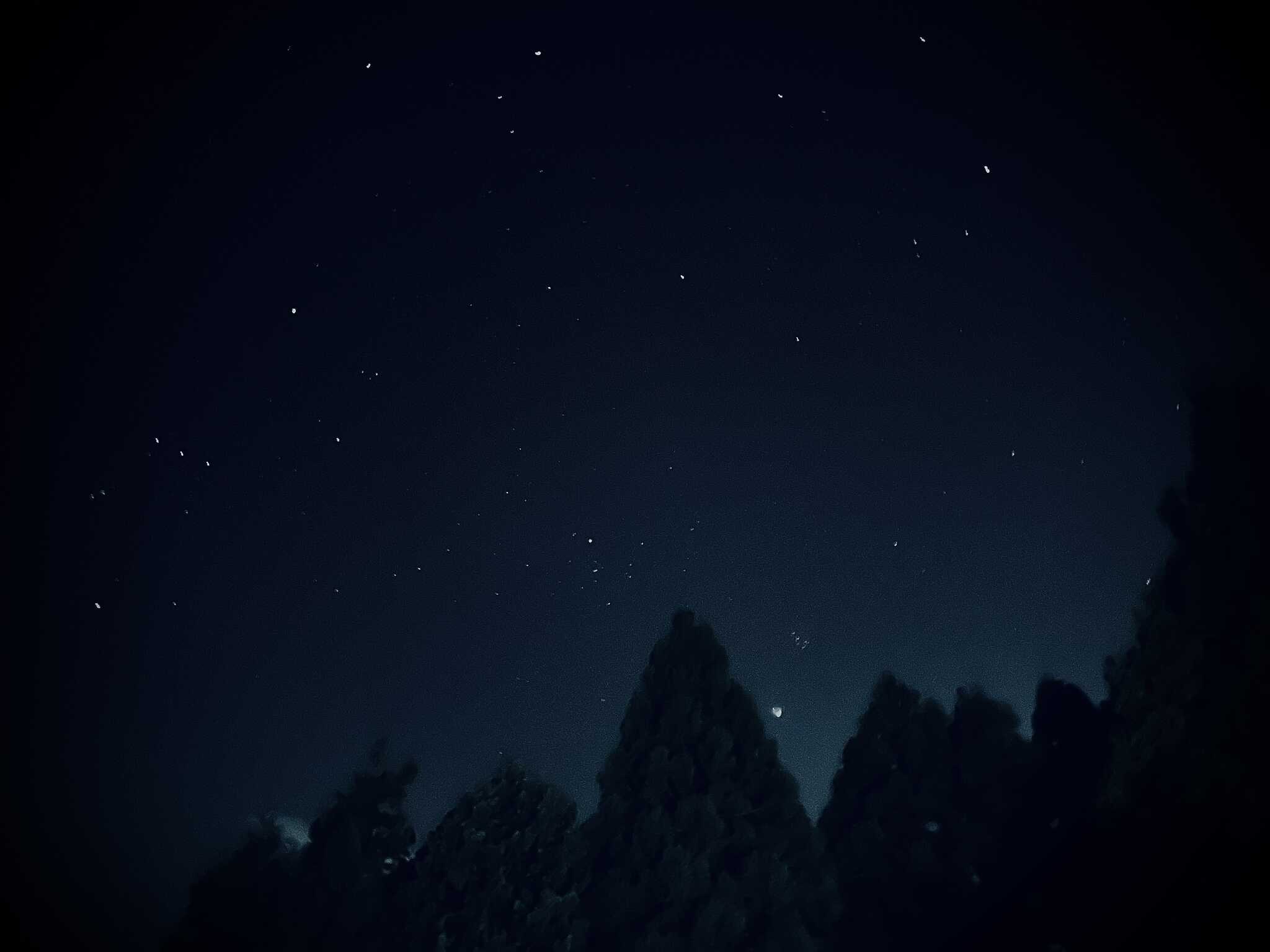 満天の星の下、静かな夜をお楽しみいただけます。