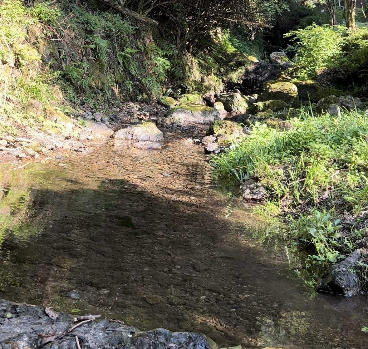 小川で水遊びできます