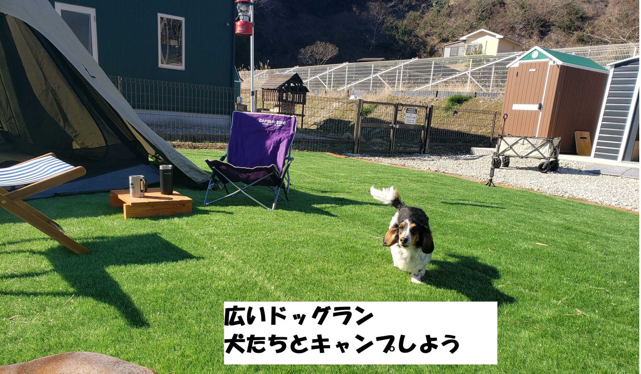 エアストリームガーデンCAPUCAPUの写真 5枚目